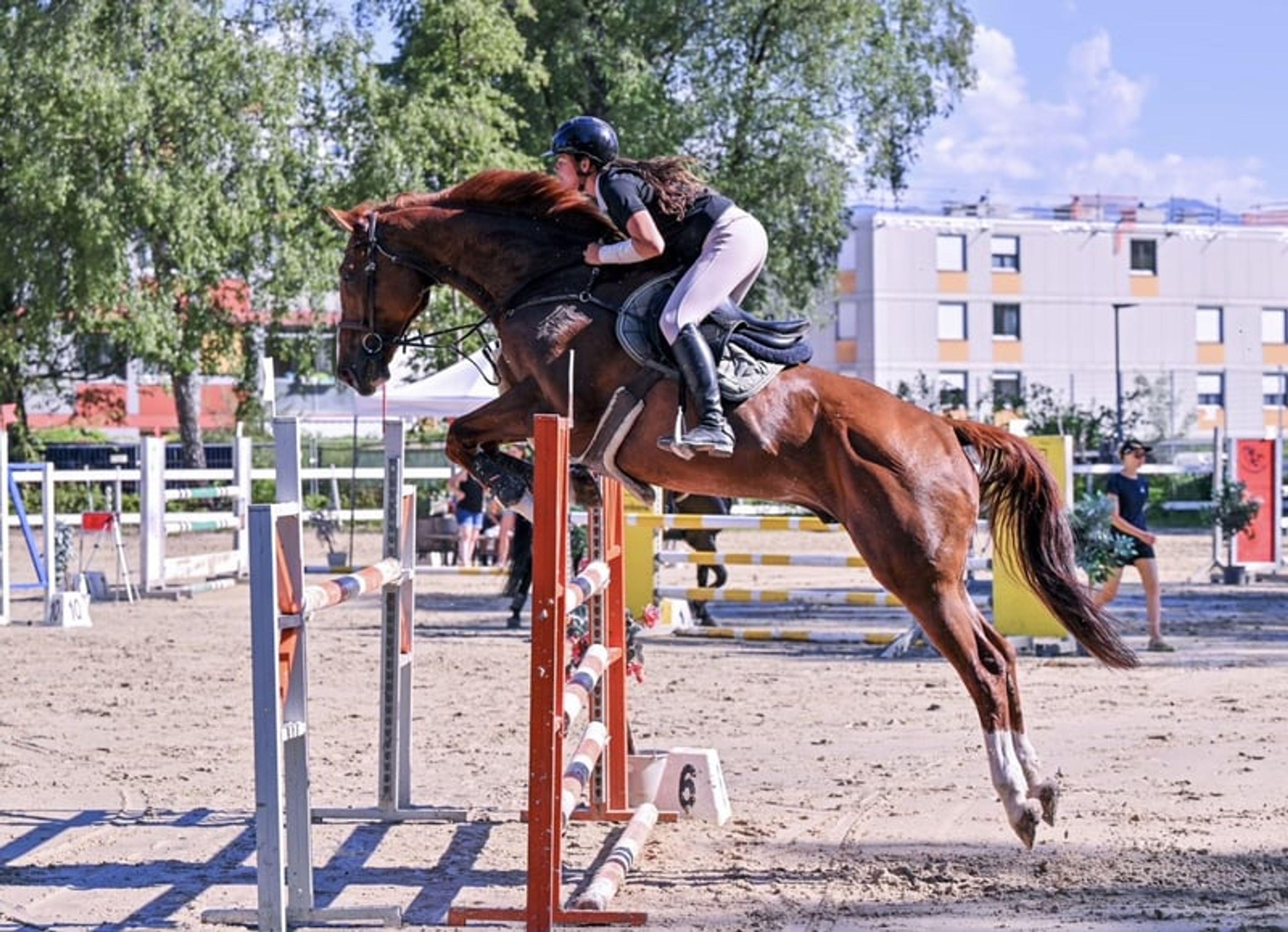 Scope & attitude / competed at 1.30 m - Image 2