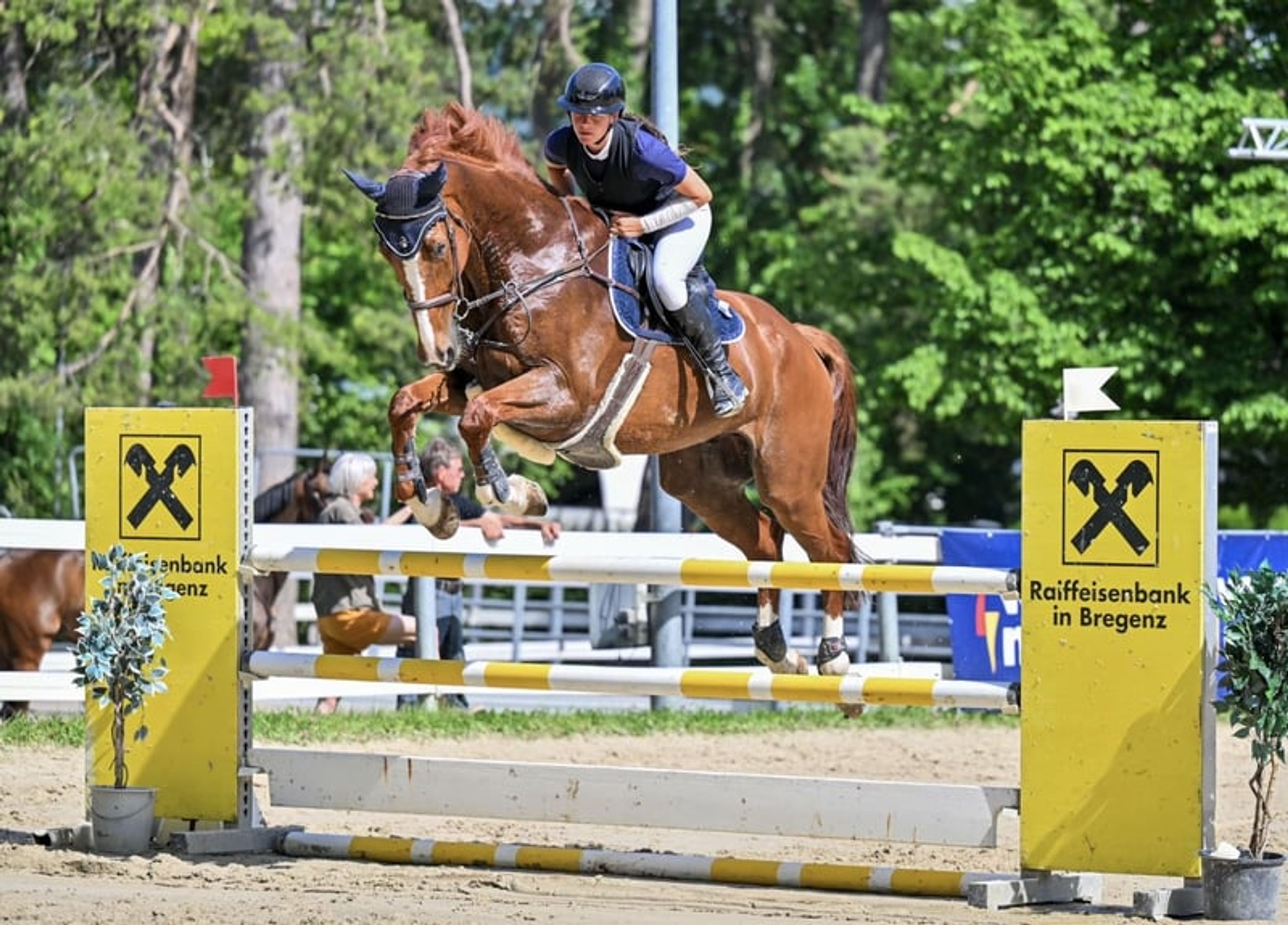 Scope & attitude / competed at 1.30 m - Image 3