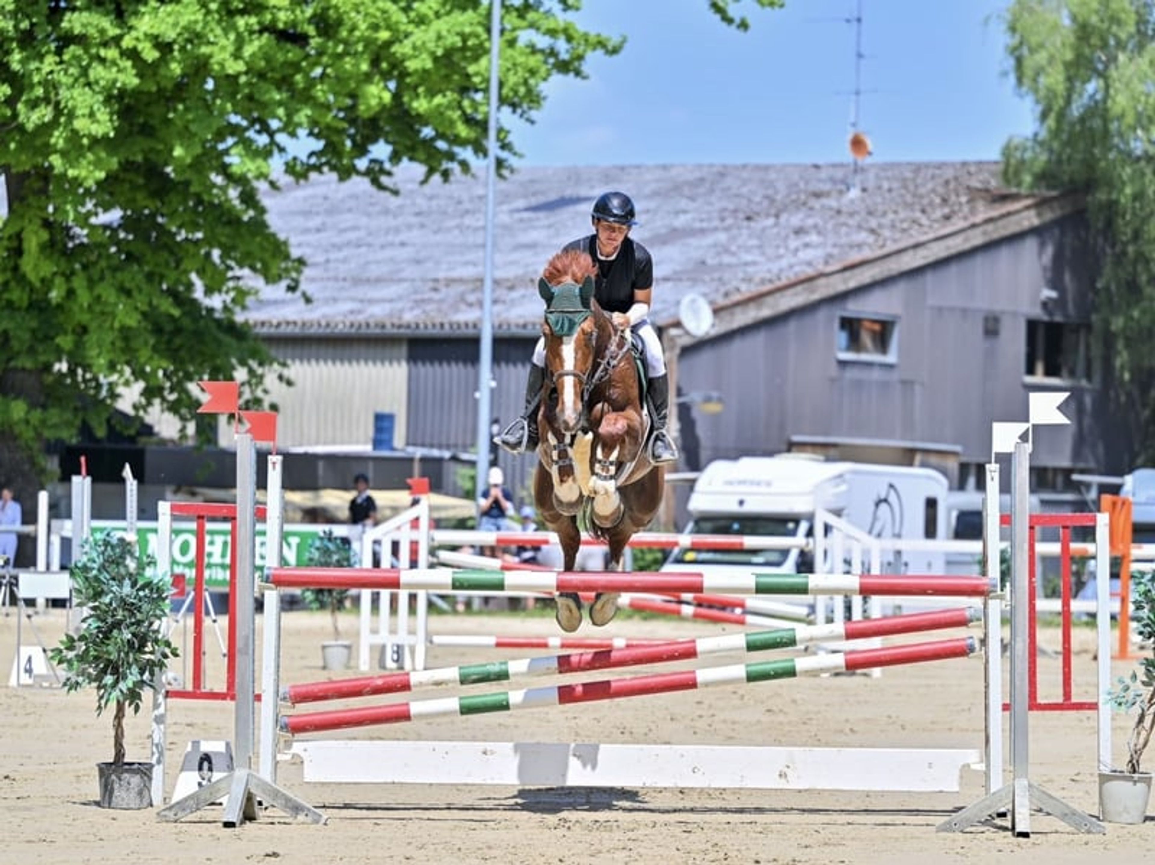 Scope & attitude / competed at 1.30 m - Image 6