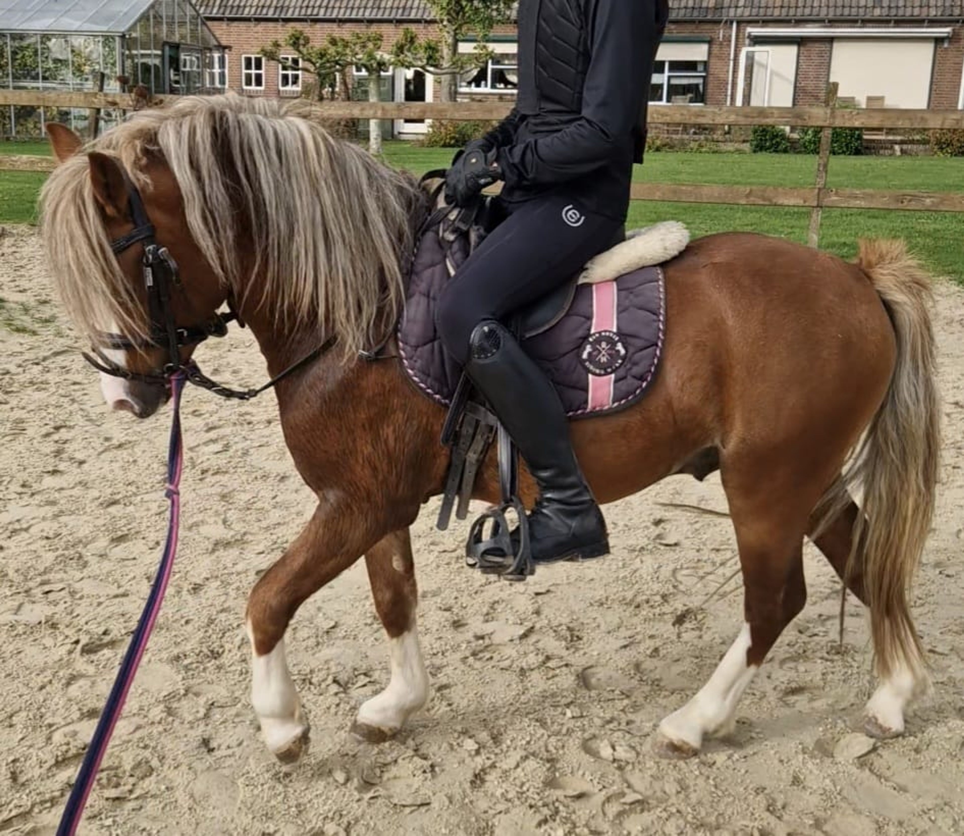 Munbus Monty - Image 2