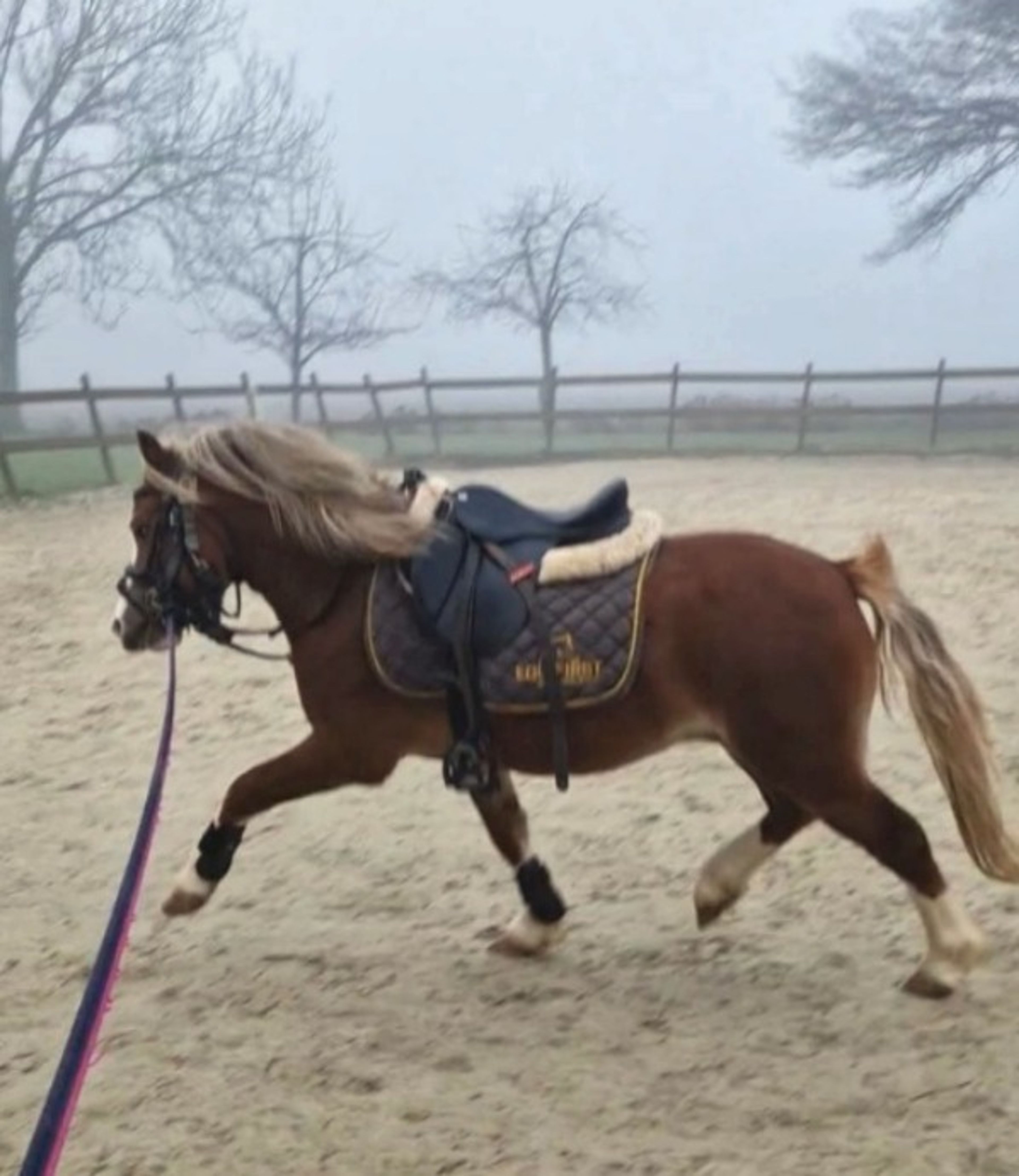 Munbus Monty - Image 3