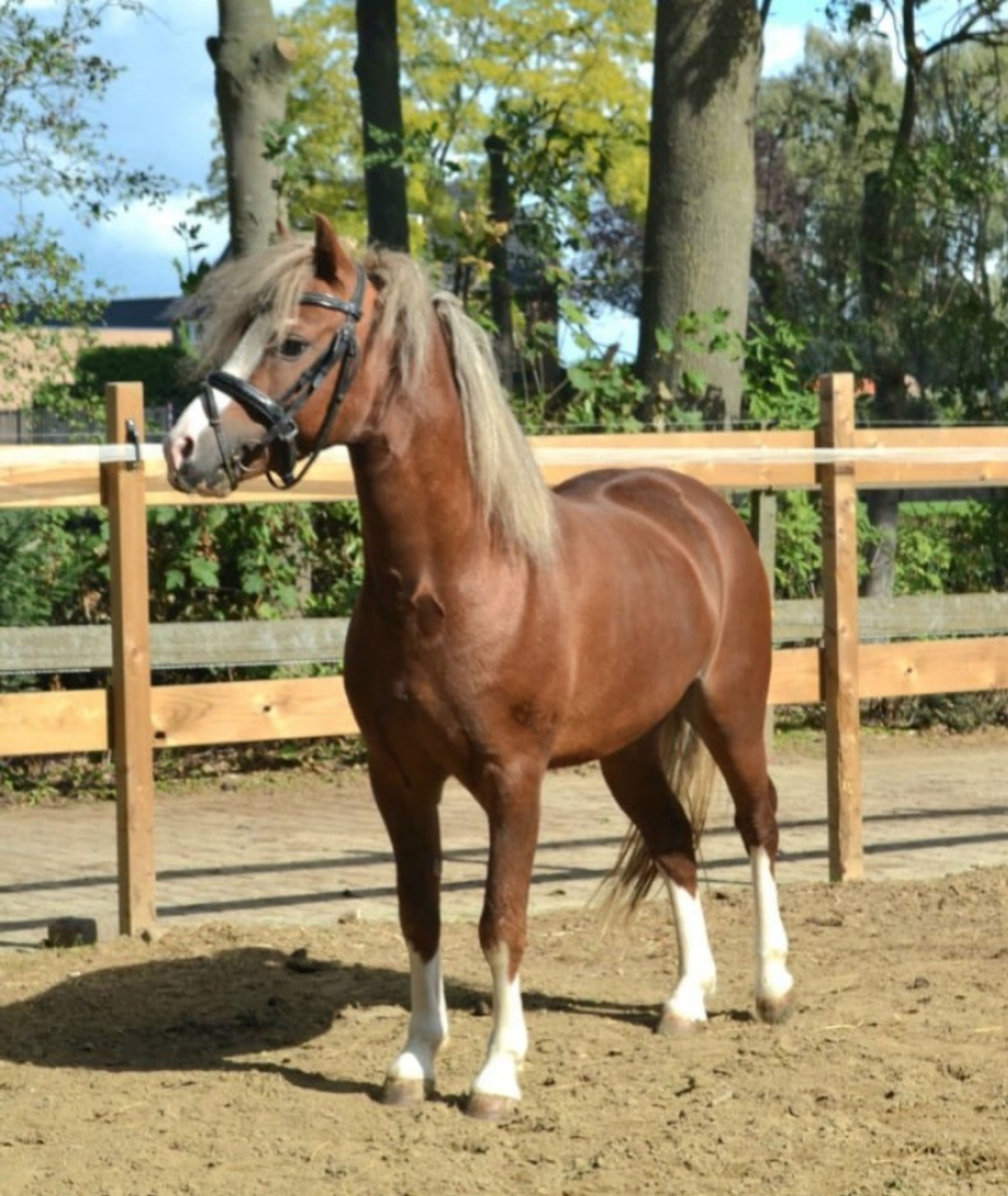 Munbus Monty - Image 5