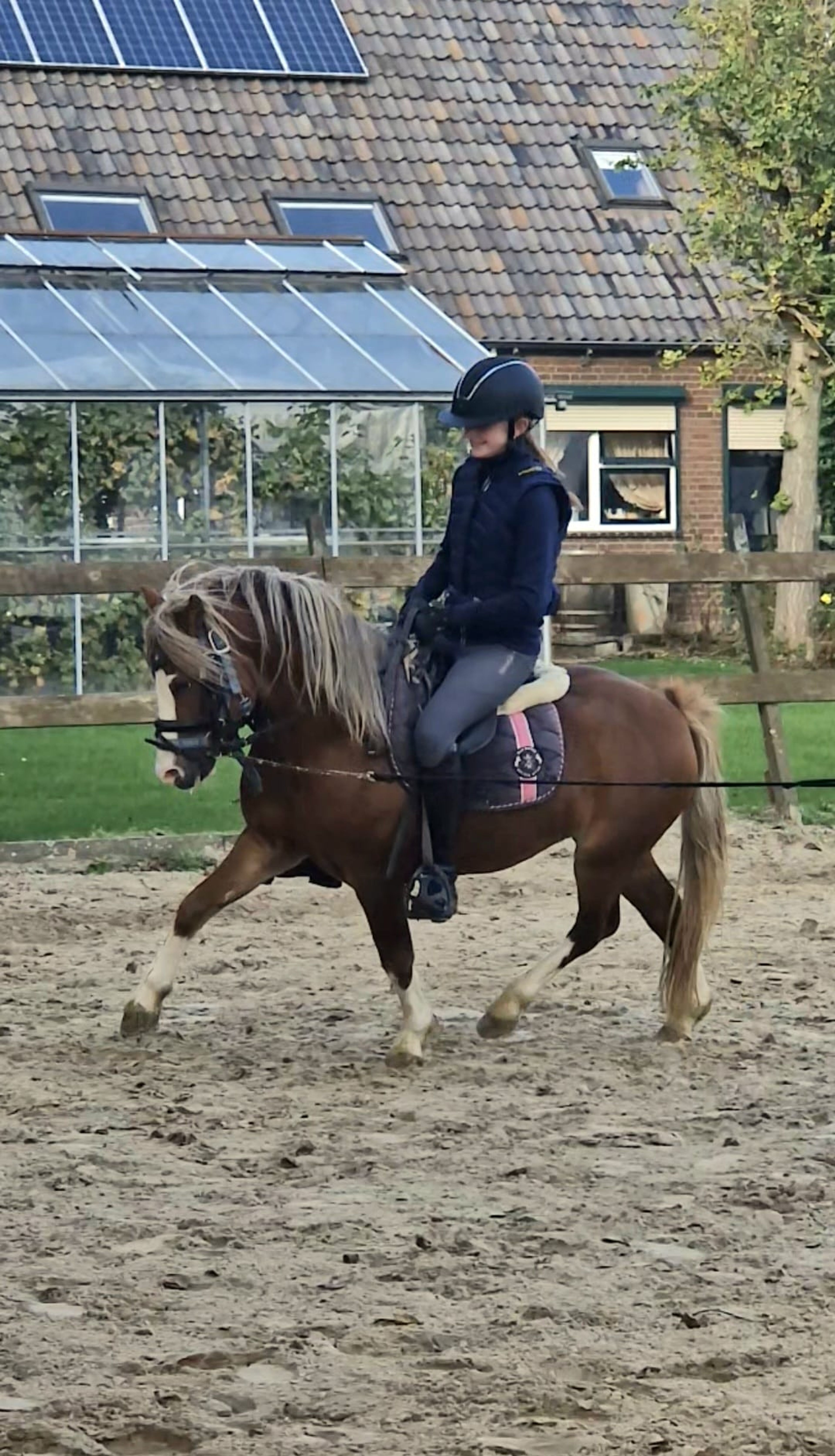 Munbus Monty - Image 10