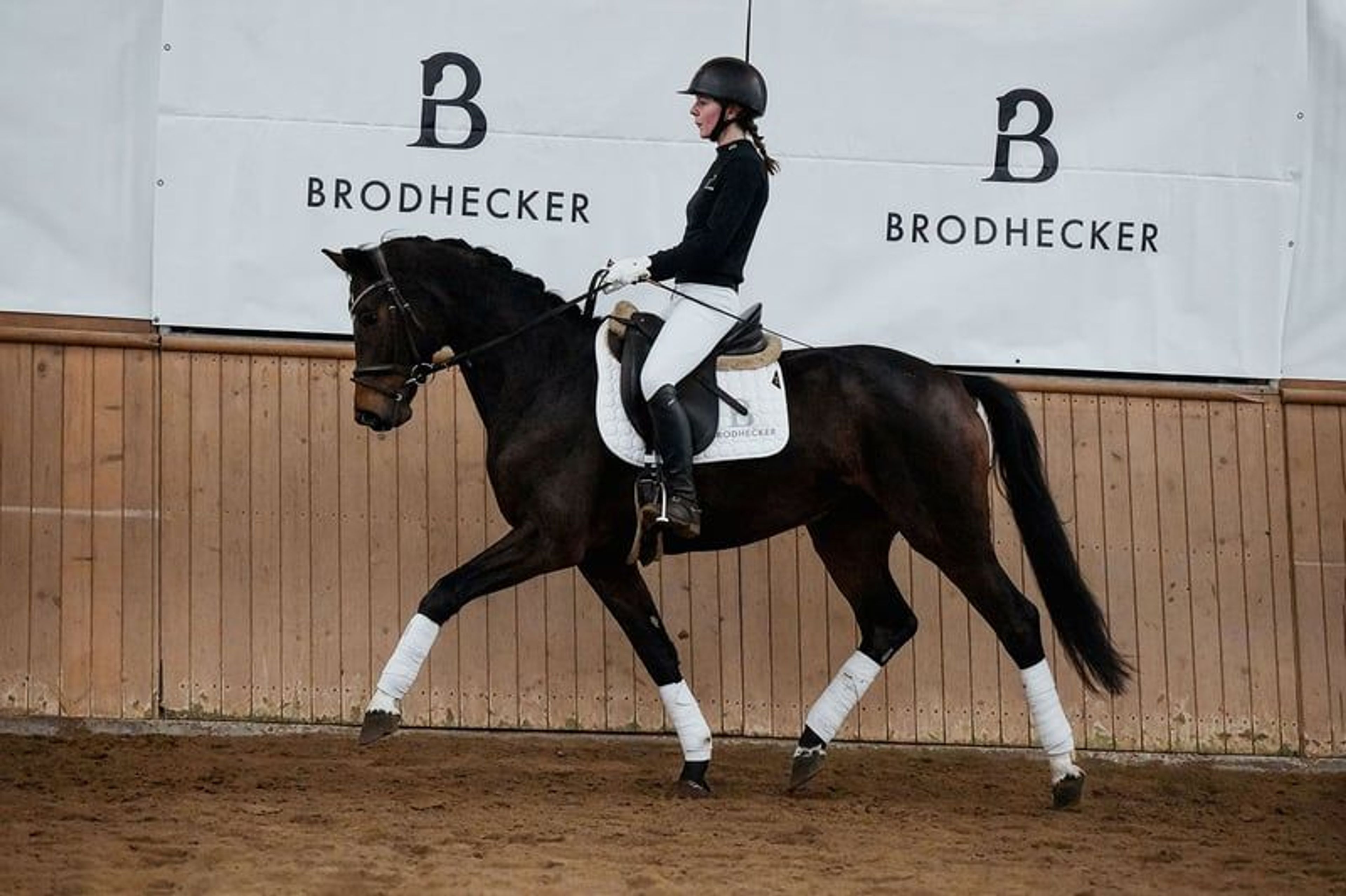 Charming dressage mare from our own breeding program - Image 3
