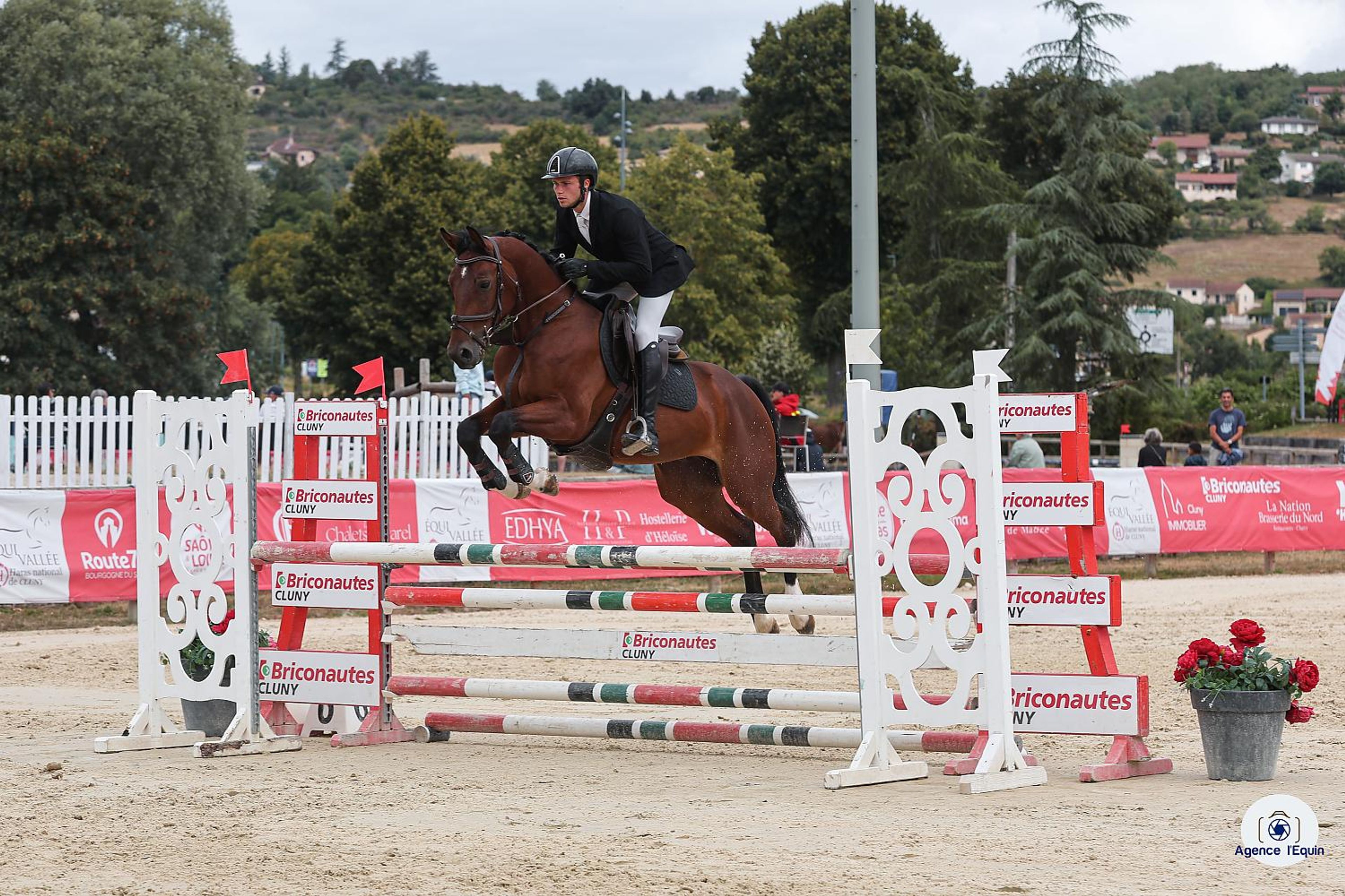 Larnacoeur de Vomorin (GFE CICAVE DU TALUS x LIMBO) - Image 2