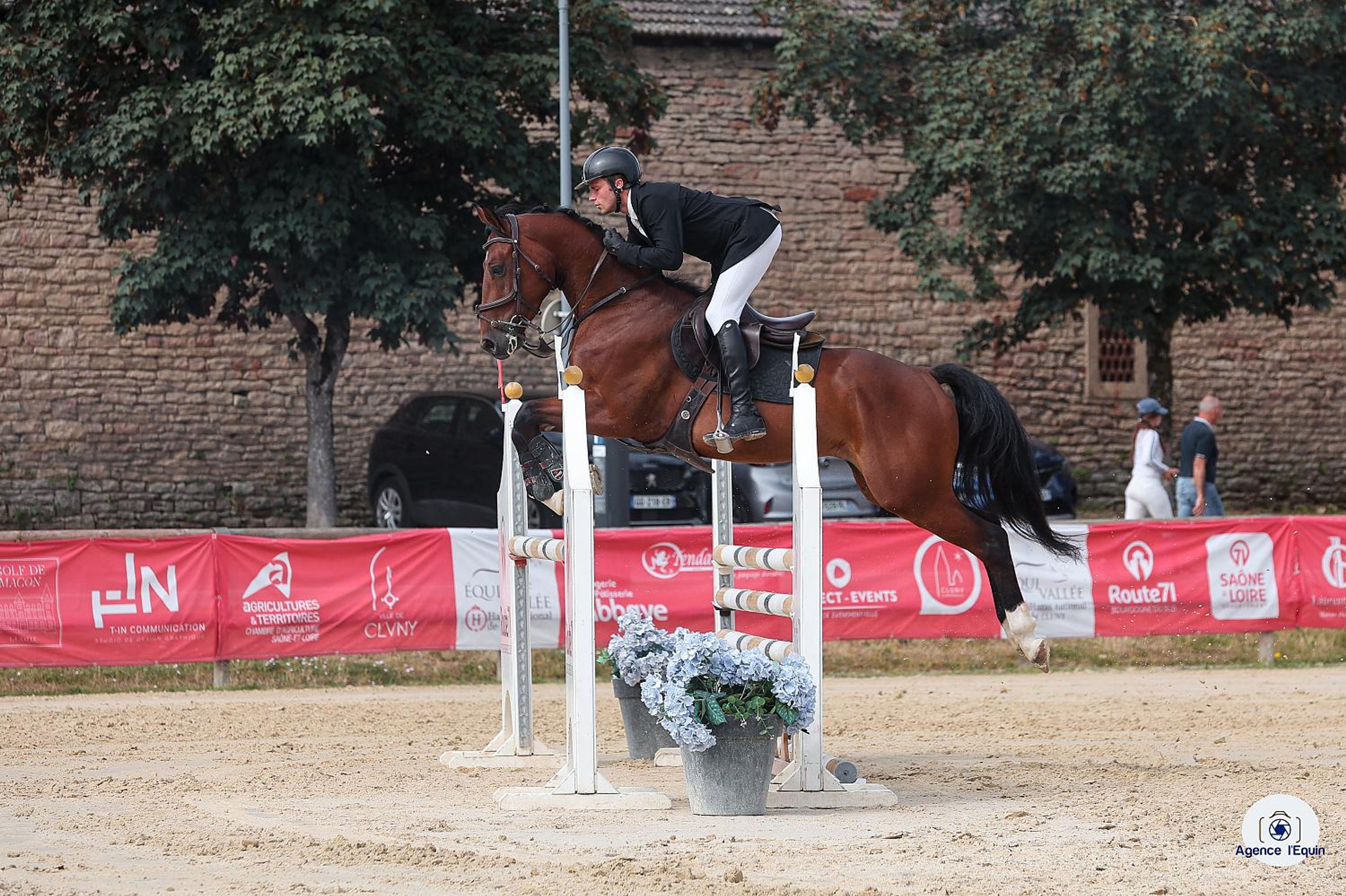 Larnacoeur de Vomorin (GFE CICAVE DU TALUS x LIMBO) - Image 3