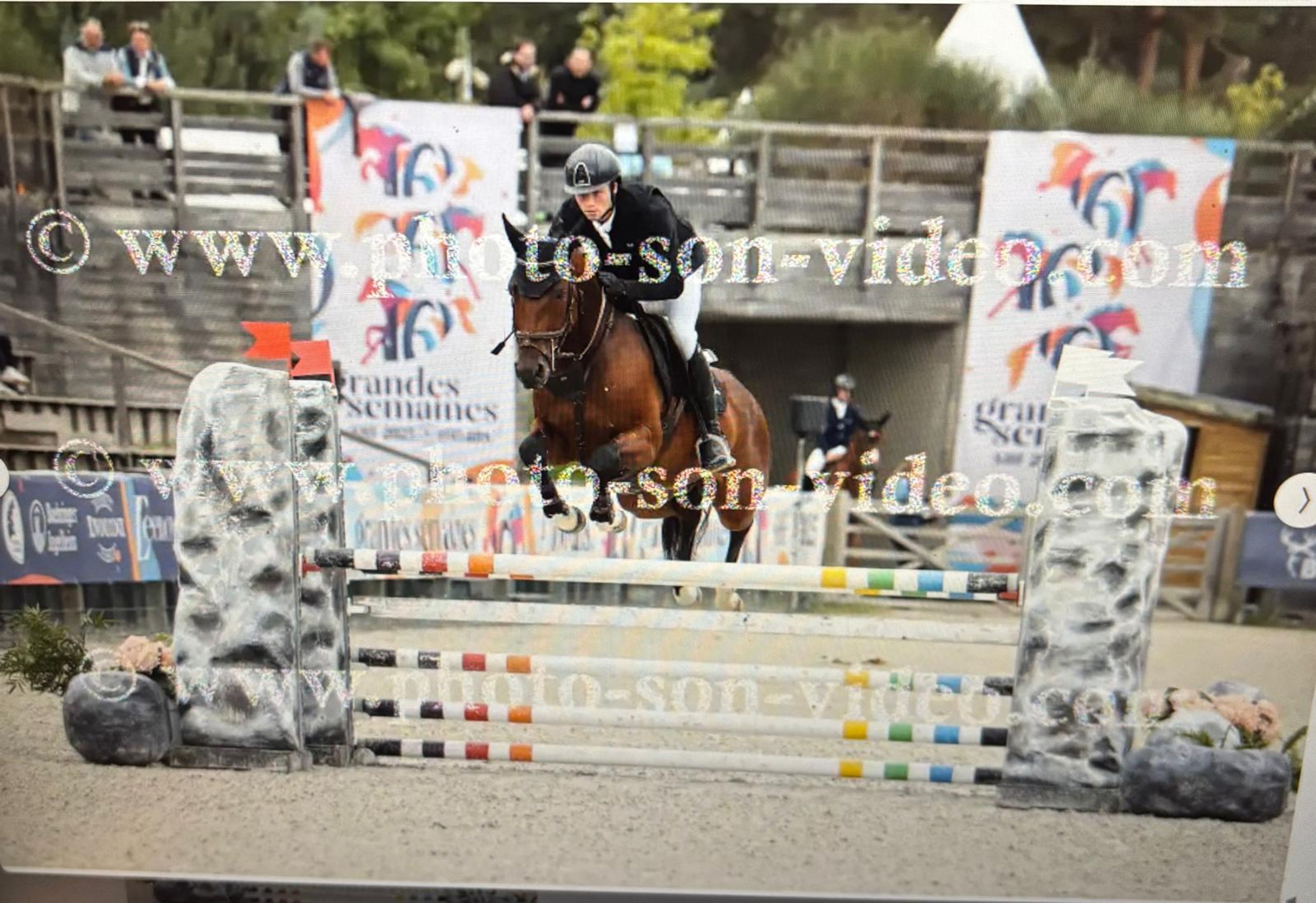 Larnacoeur de Vomorin (GFE CICAVE DU TALUS x LIMBO) - Image 5