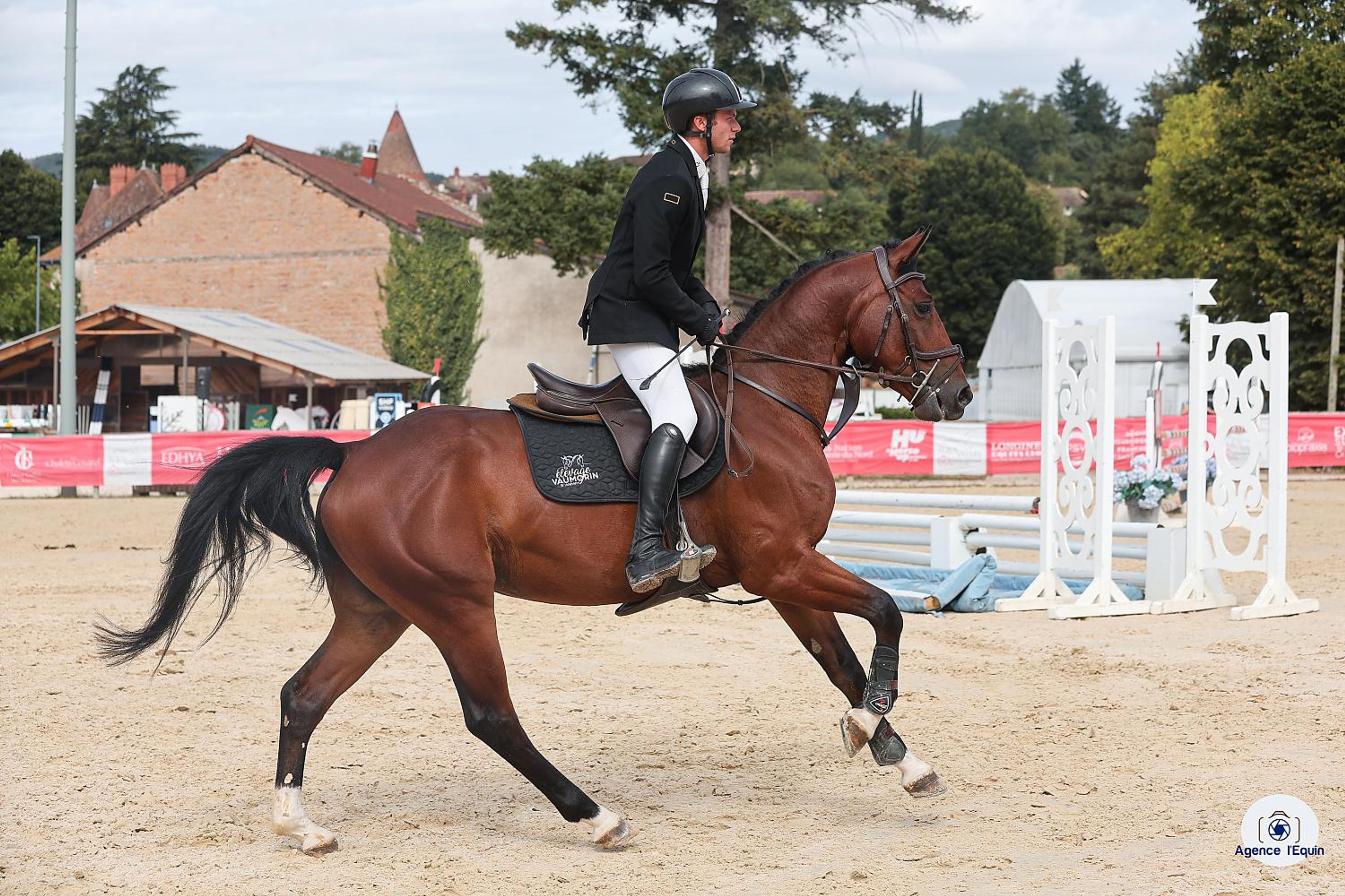 Larnacoeur de Vomorin (GFE CICAVE DU TALUS x LIMBO) - Image 6