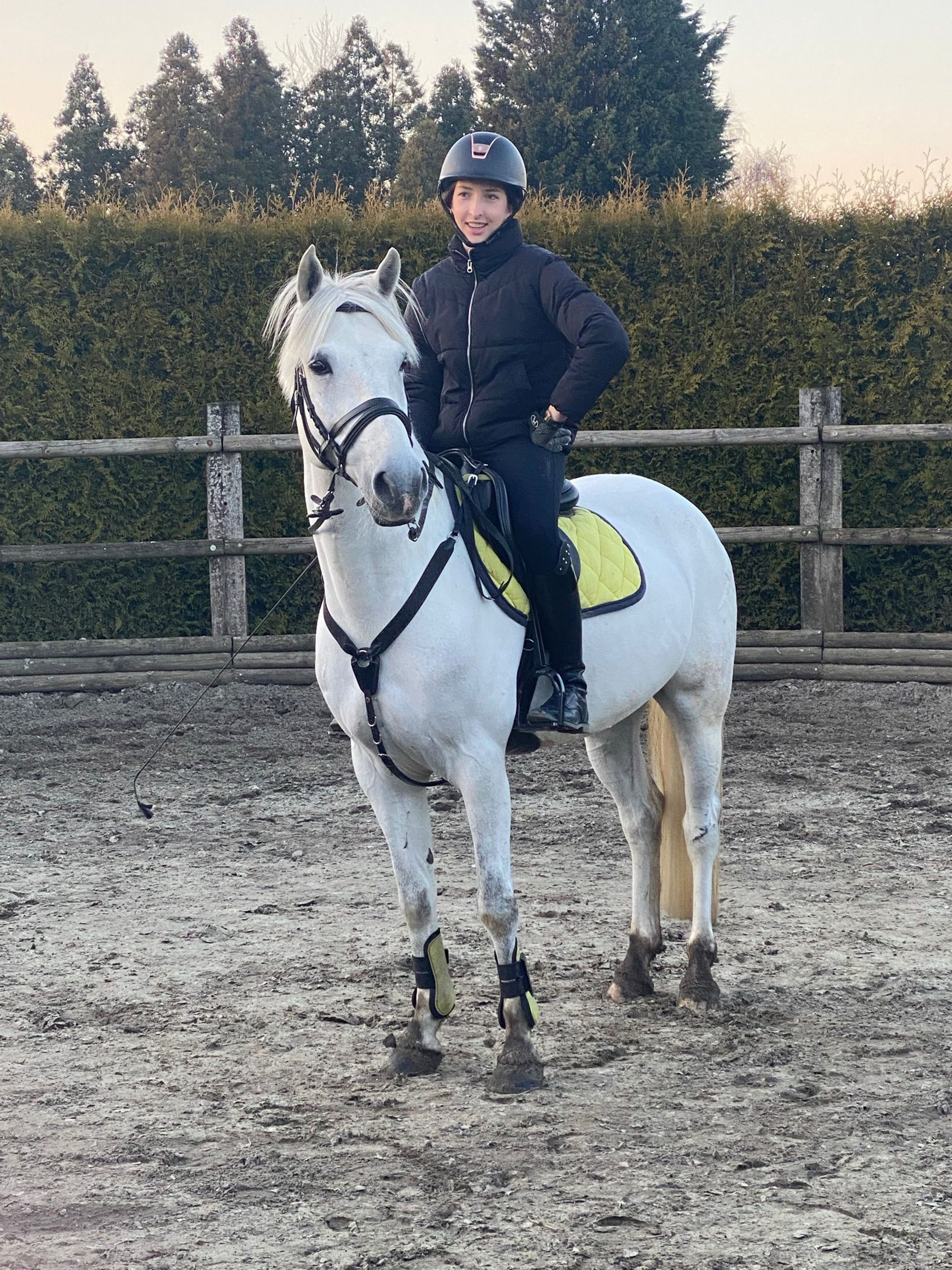 Errismore Joe (CONTEMPI CASHEL x ROBE EARL) - Image 4