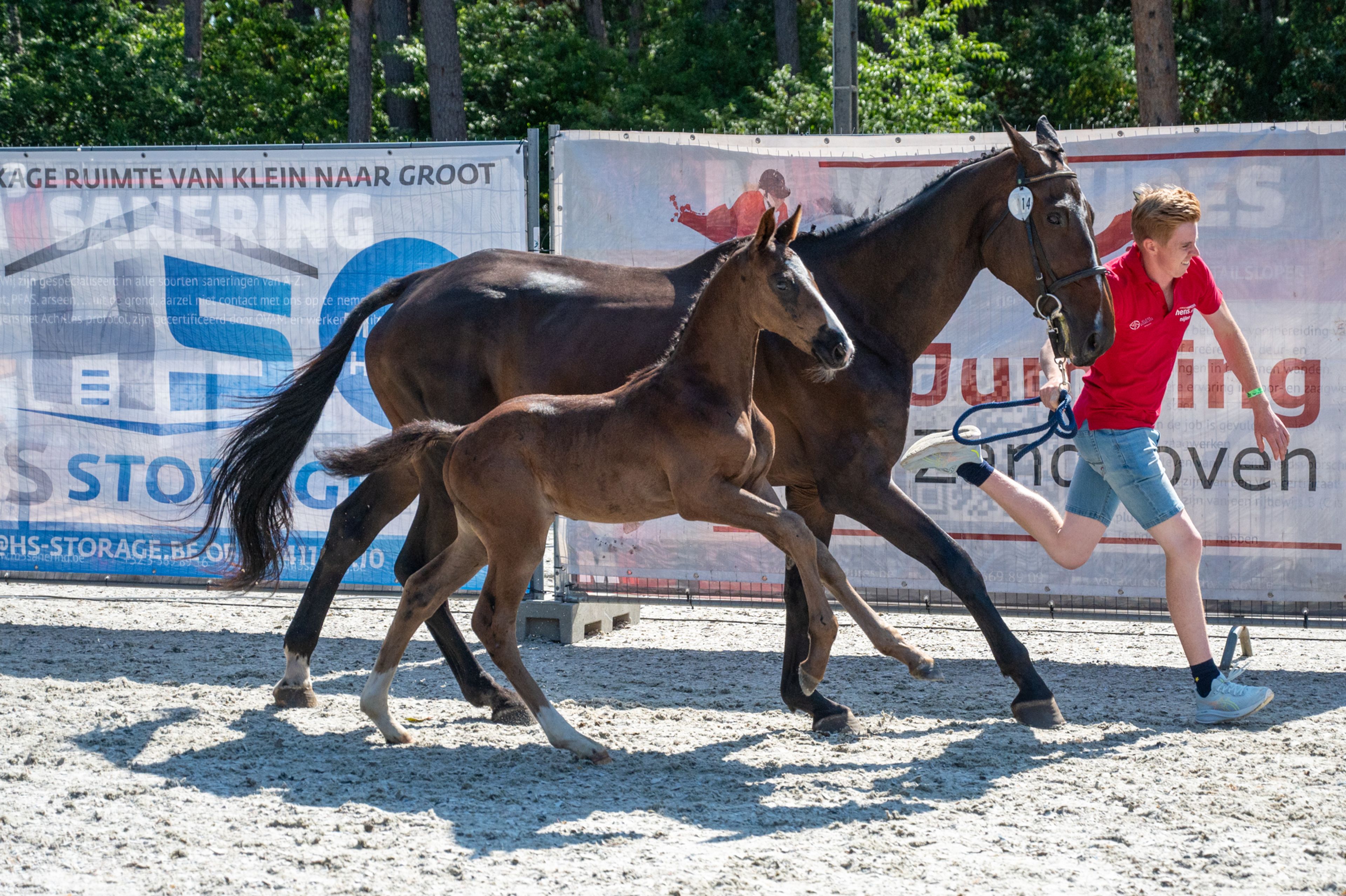 Diamant d'Anvers (IMPRESS-K VAN'T KATTENHEYE Z x DIAMANT DE SEMILLY) - Image 1