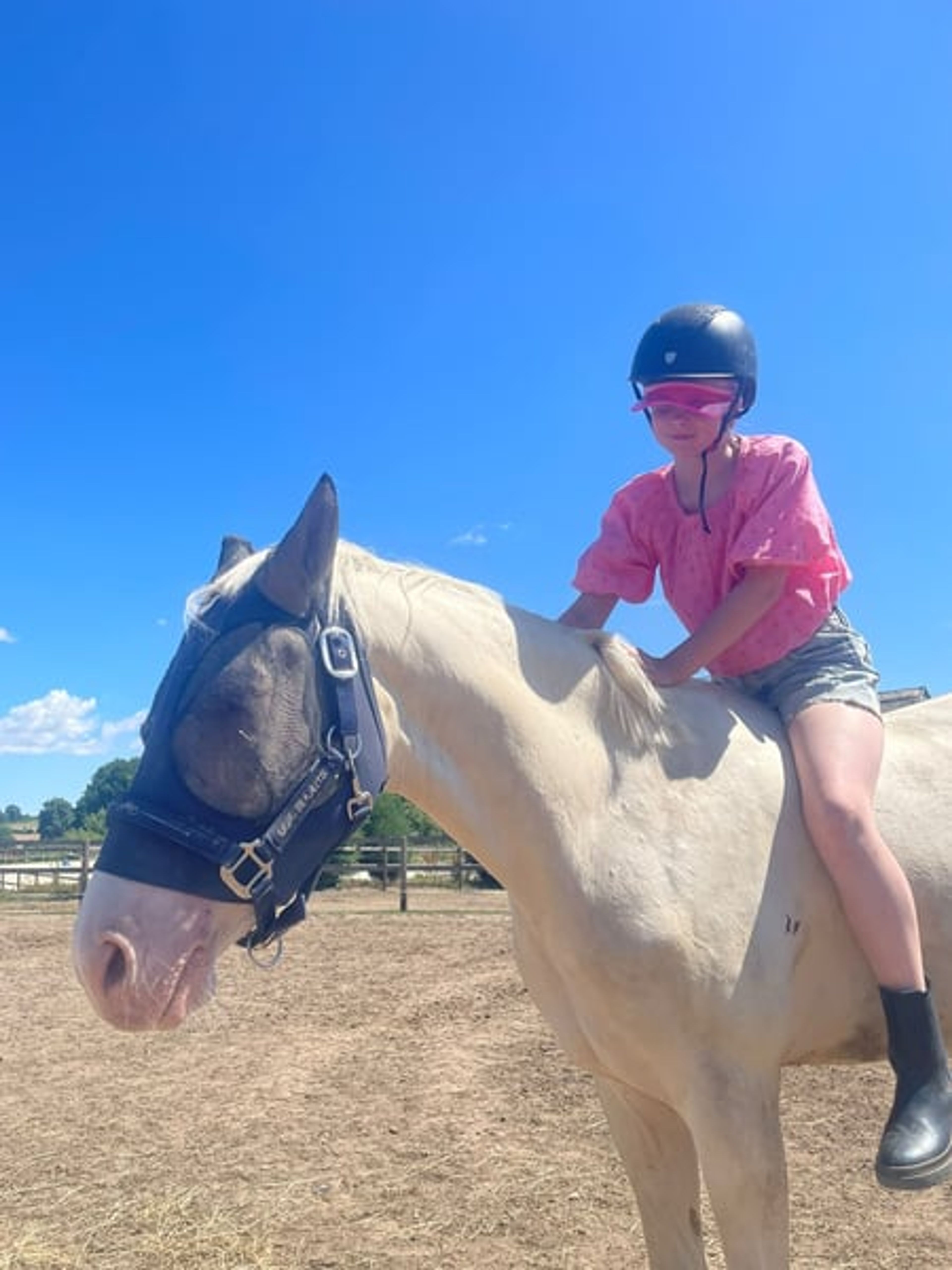 Beautiful children’s pony with potential for top-level pony sport. - Image 2