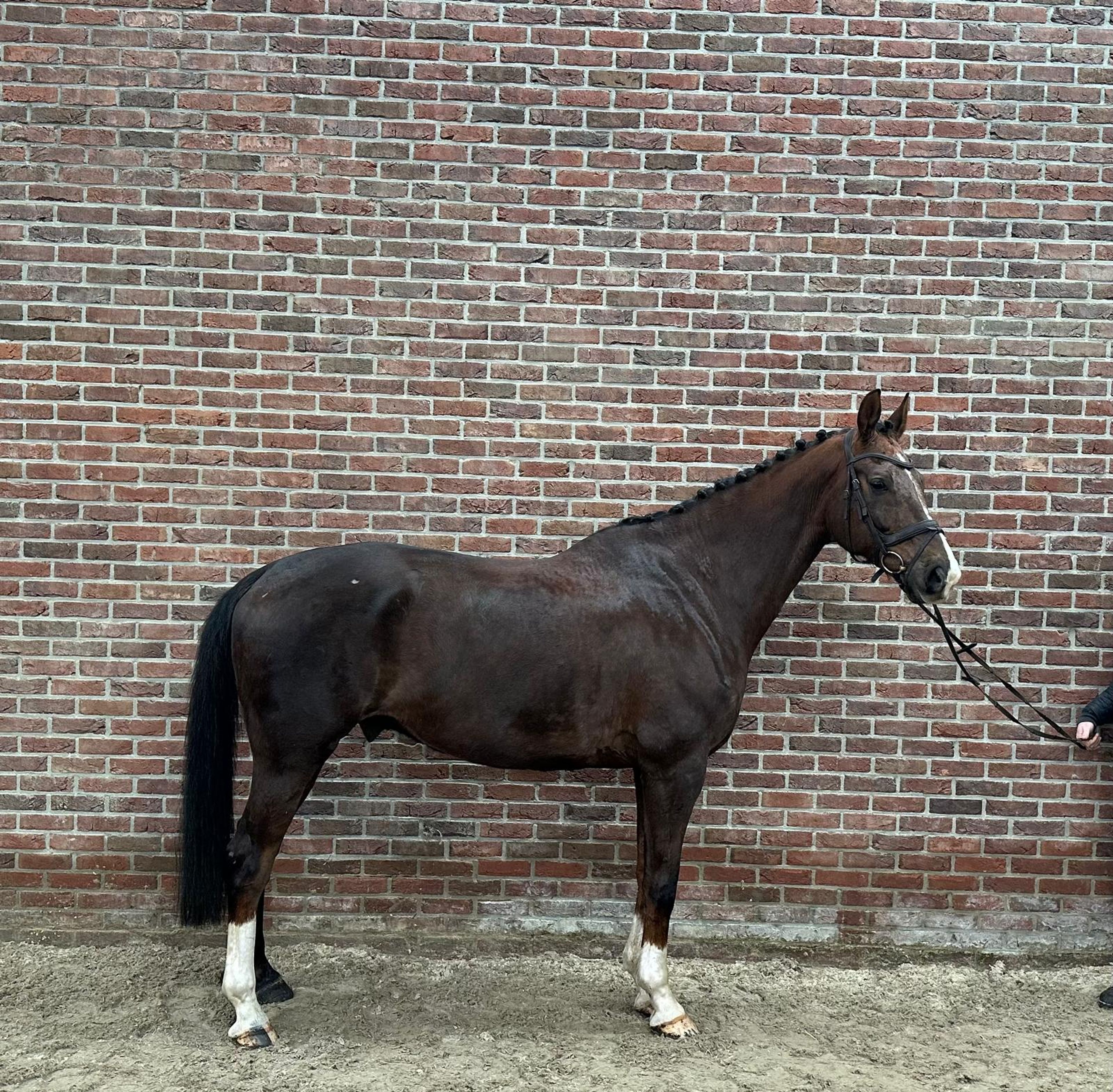 Kunta Kinte (NEGRO x JAZZ) - Image 1