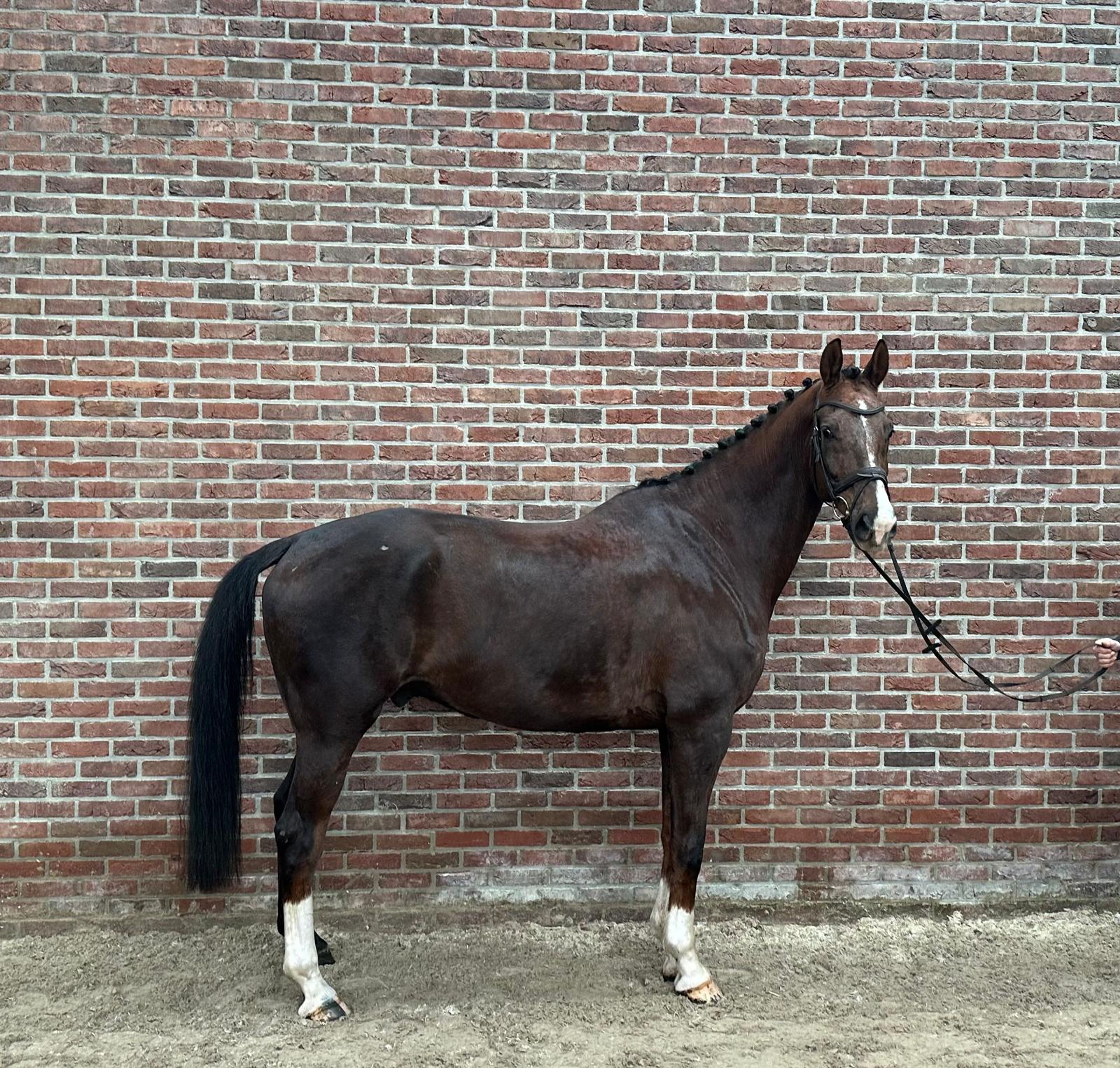 Kunta Kinte (NEGRO x JAZZ) - Image 2