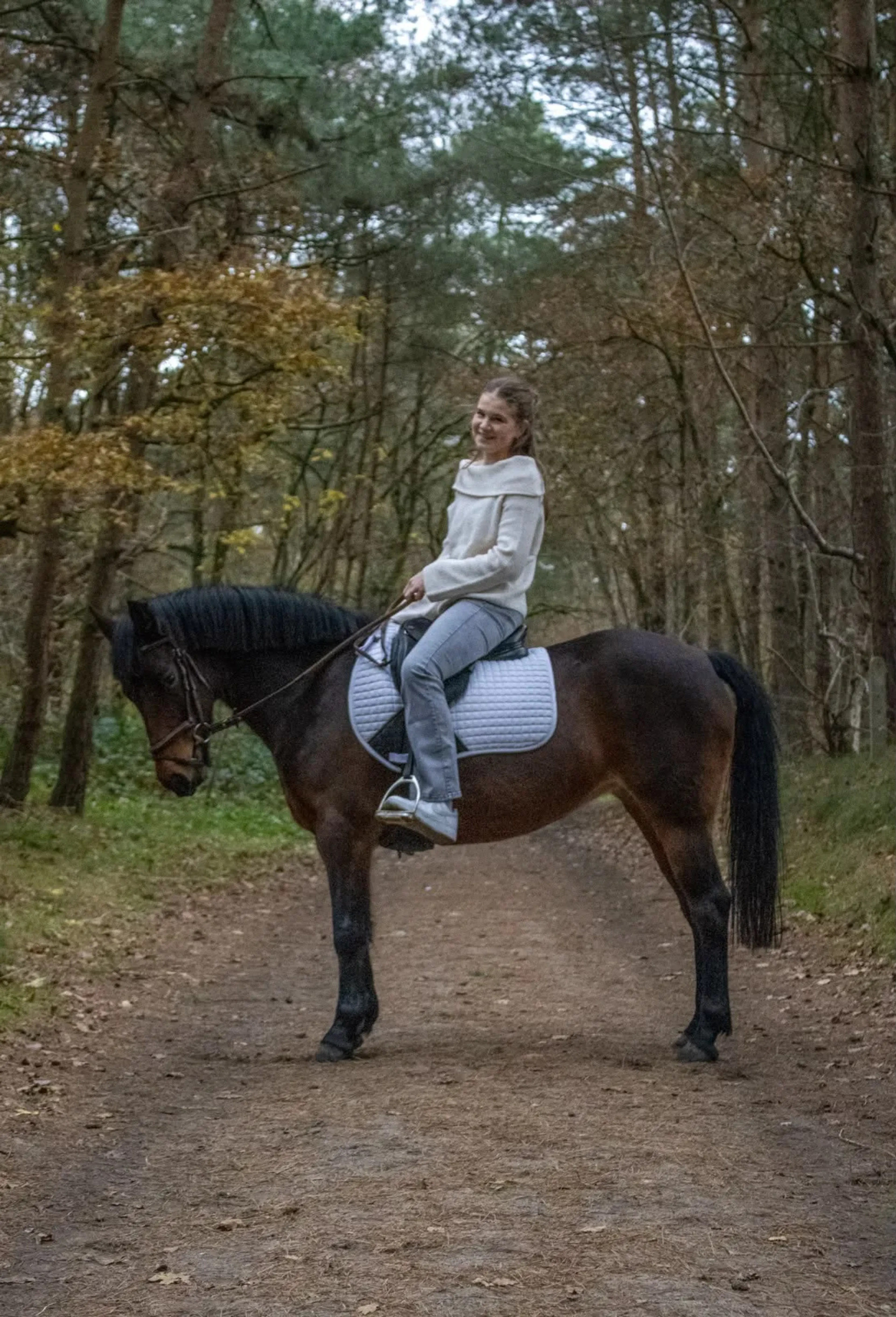 Veertje V/D Haringslede - Image 14