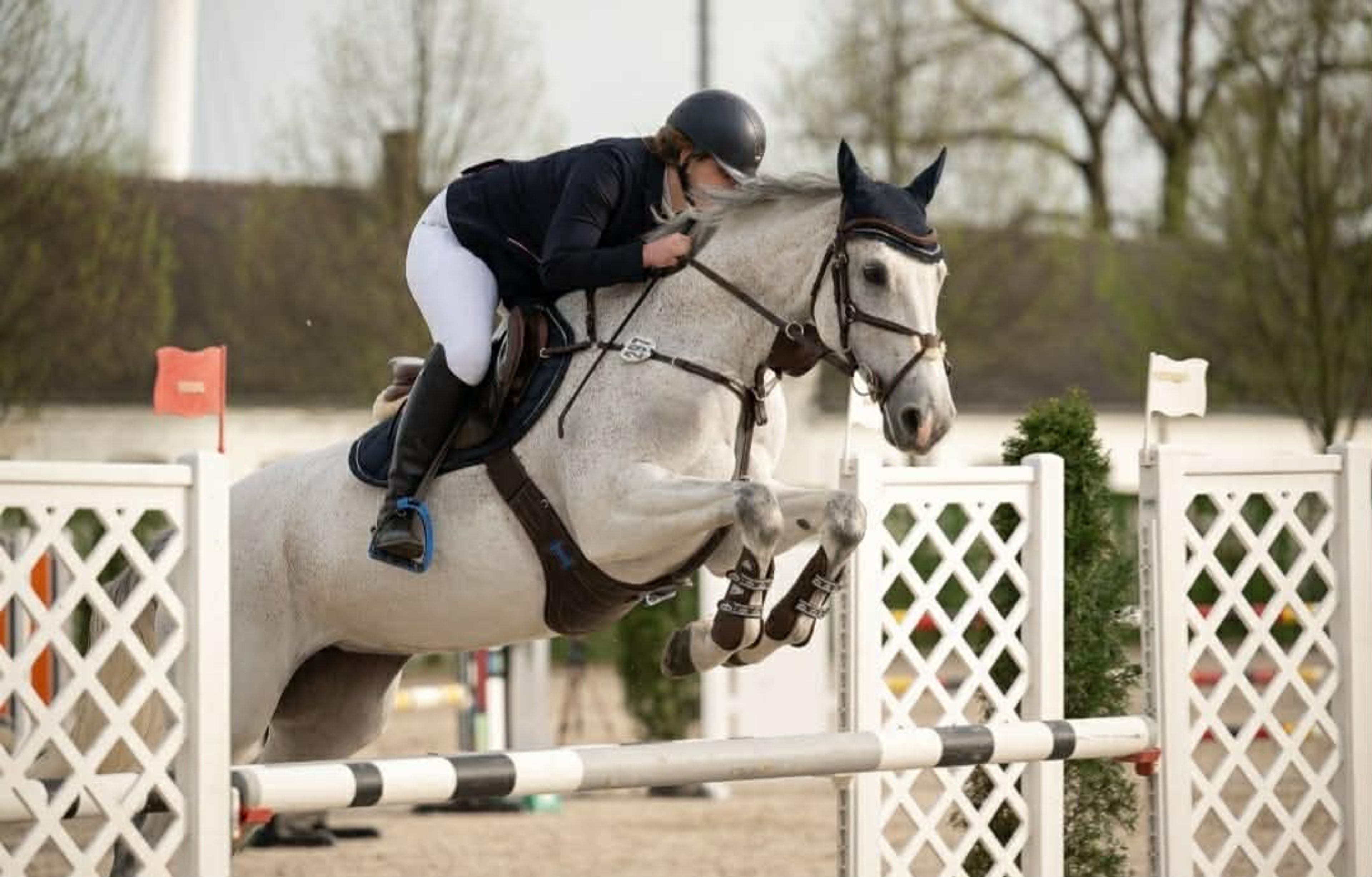 Chasey Laine - Image 2