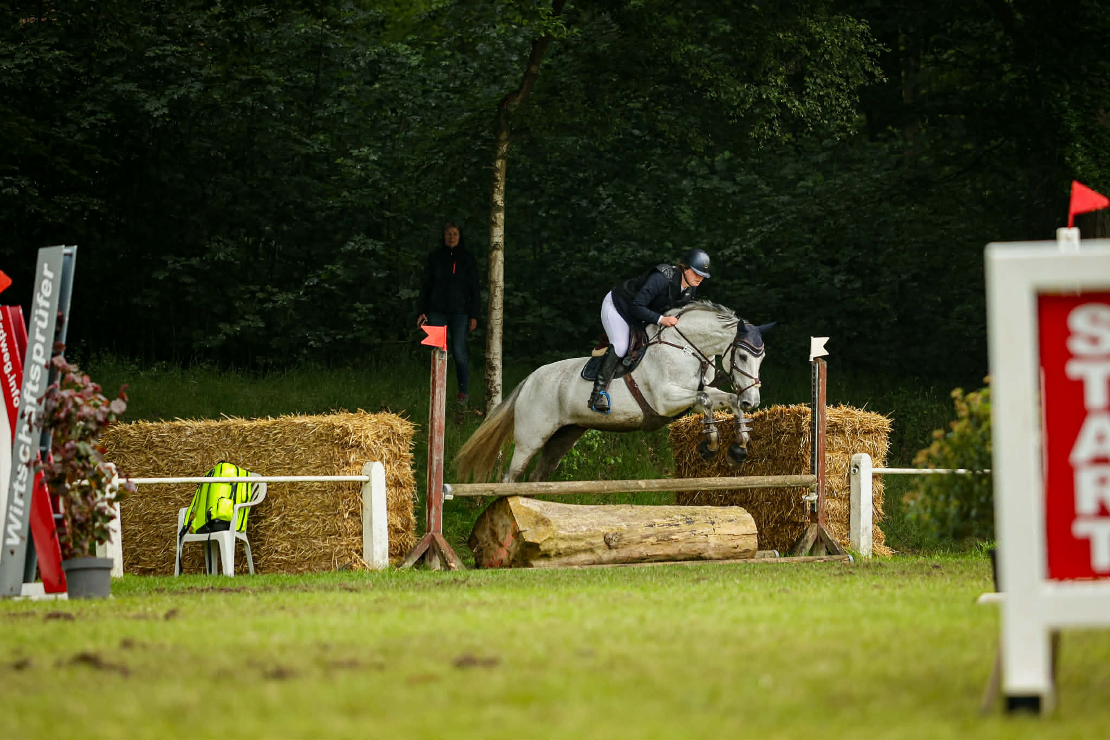 Chasey Laine - Image 5