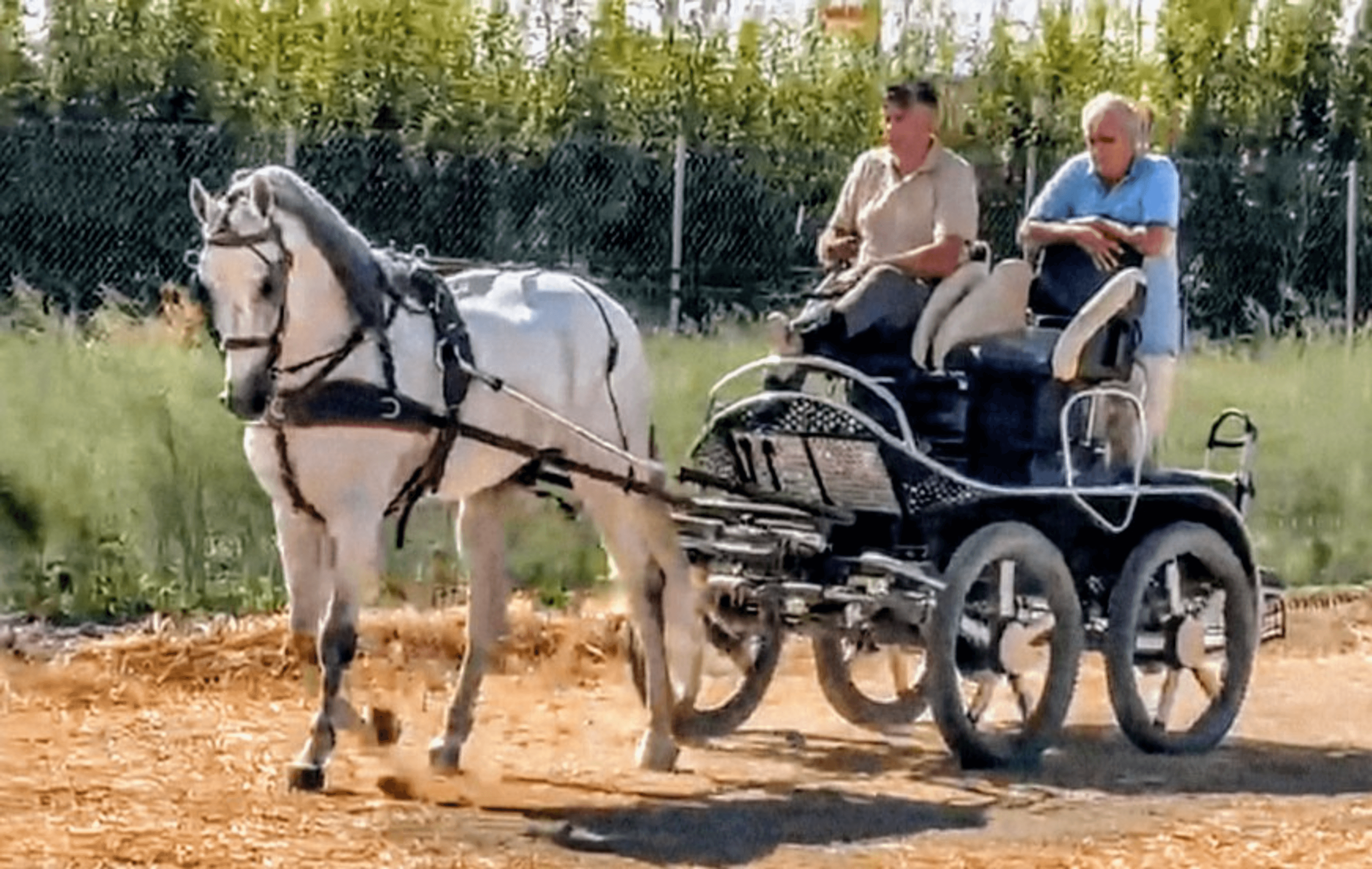 White Dreamboy - Image 2