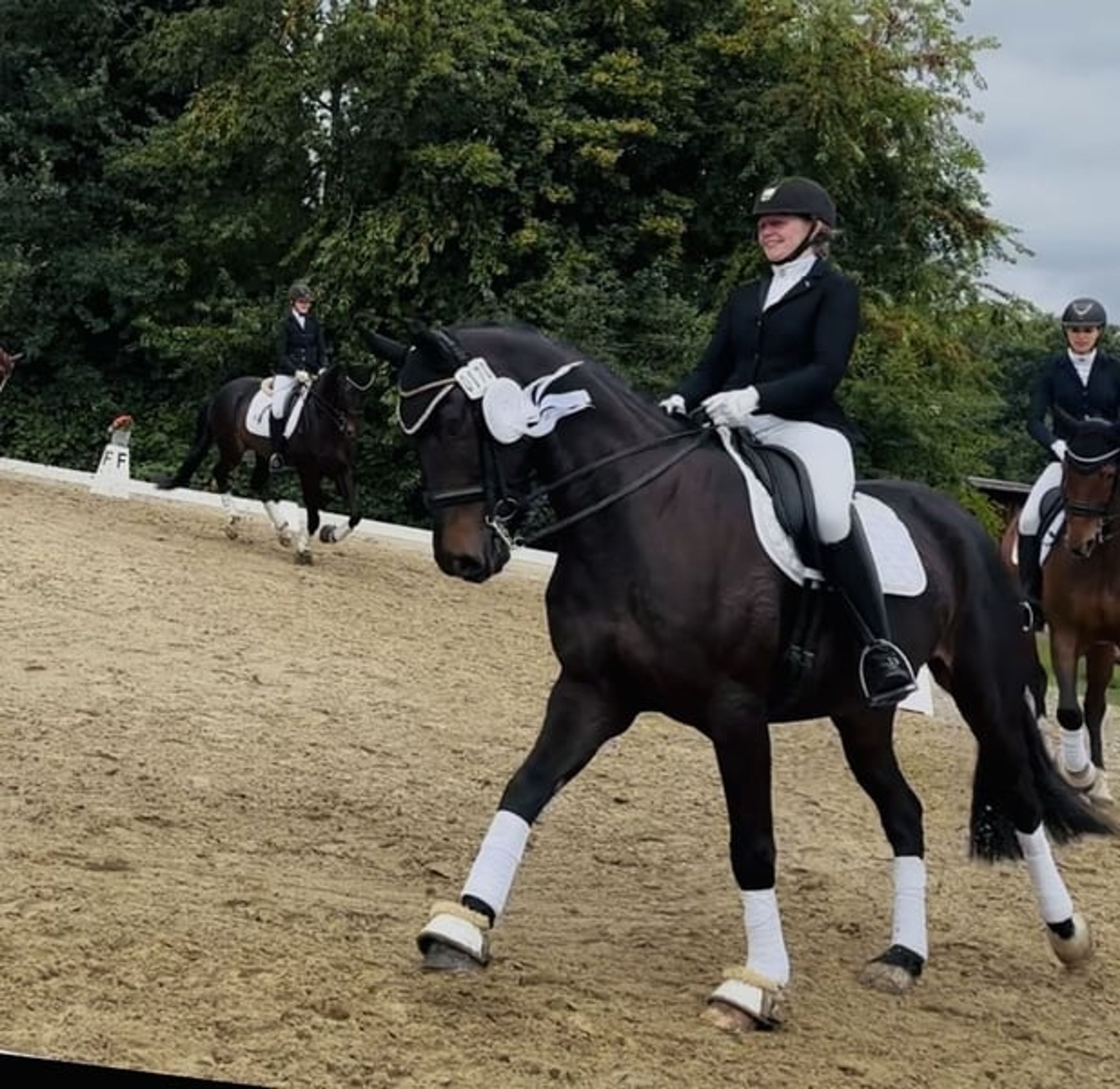 Amateur-friendly dressage horse - Image 3