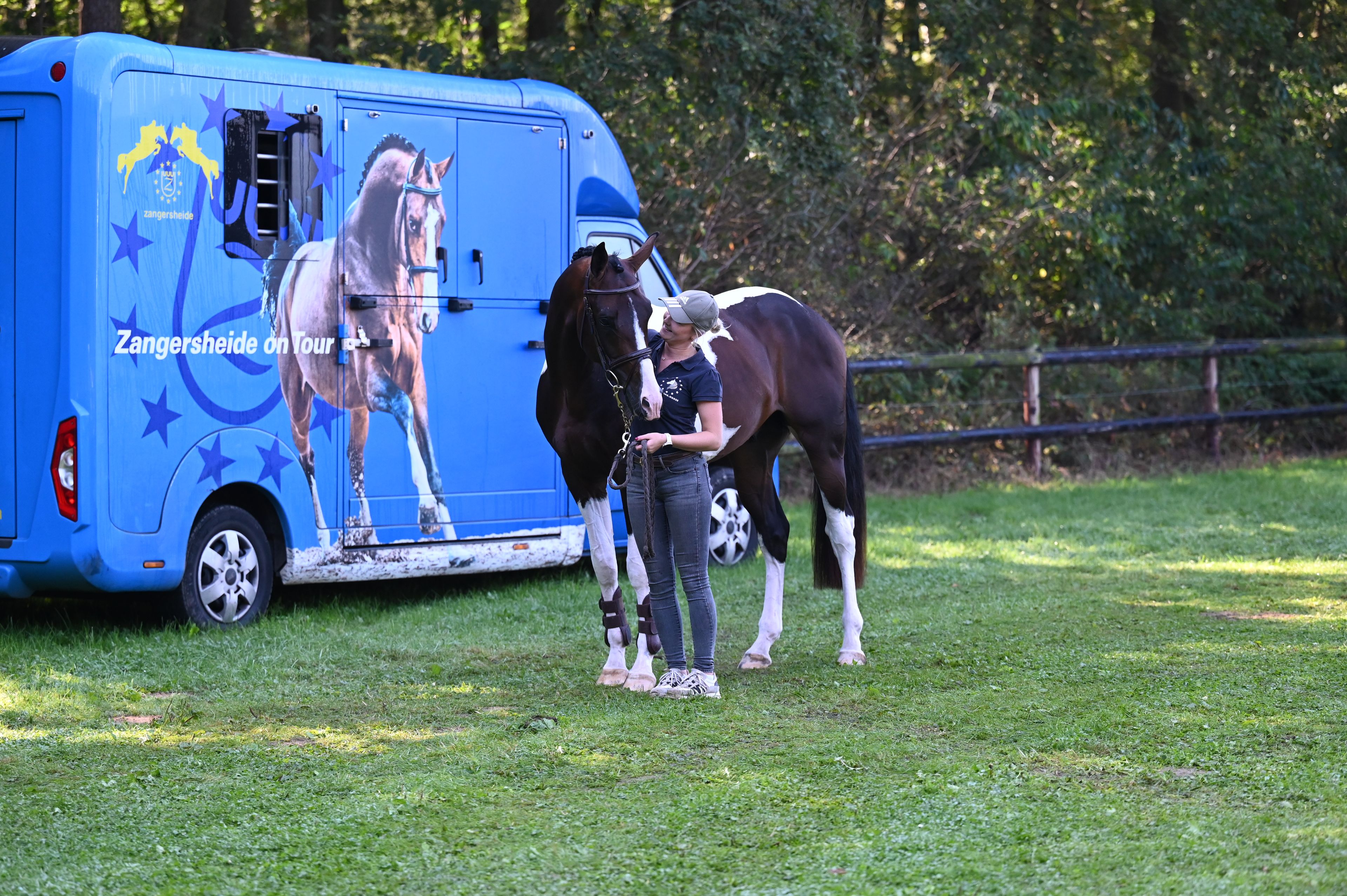 Covering French Look van Erpekom Z (FRENCH TOUCH’S DREAM x UDARCO VAN OVERIS) - Image 8