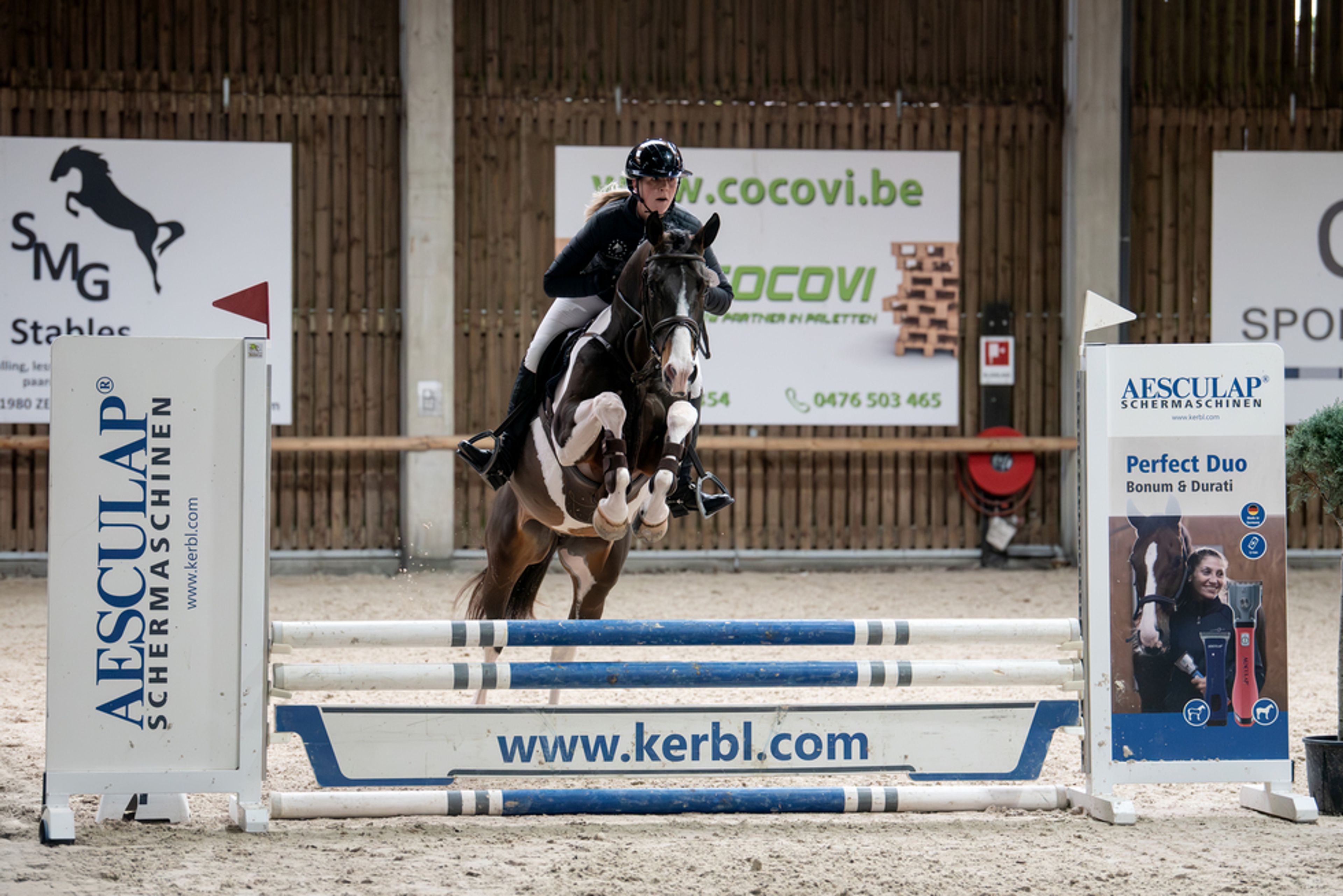 Covering French Look van Erpekom Z (FRENCH TOUCH’S DREAM x UDARCO VAN OVERIS) - Image 9