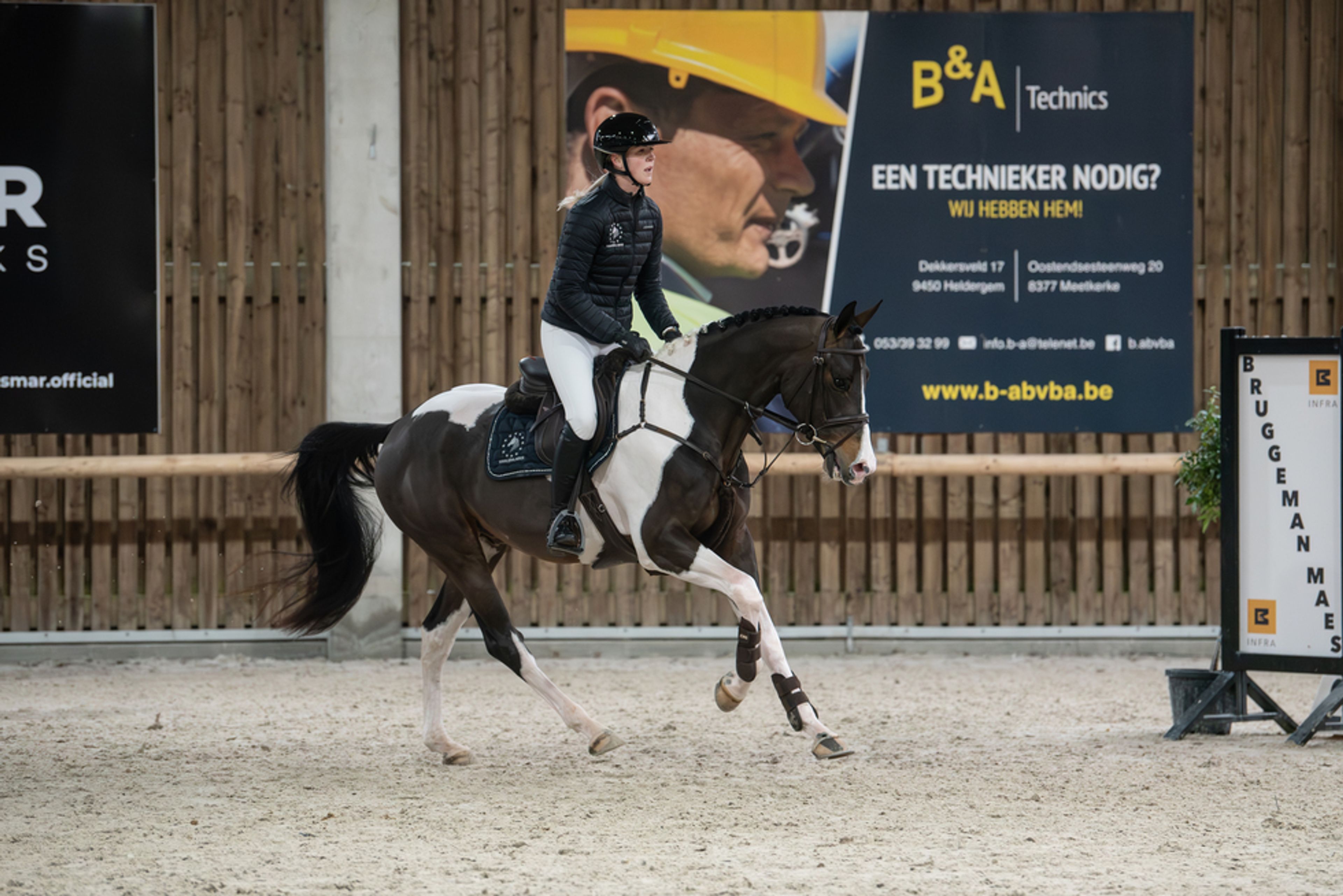 Covering French Look van Erpekom Z (FRENCH TOUCH’S DREAM x UDARCO VAN OVERIS) - Image 10