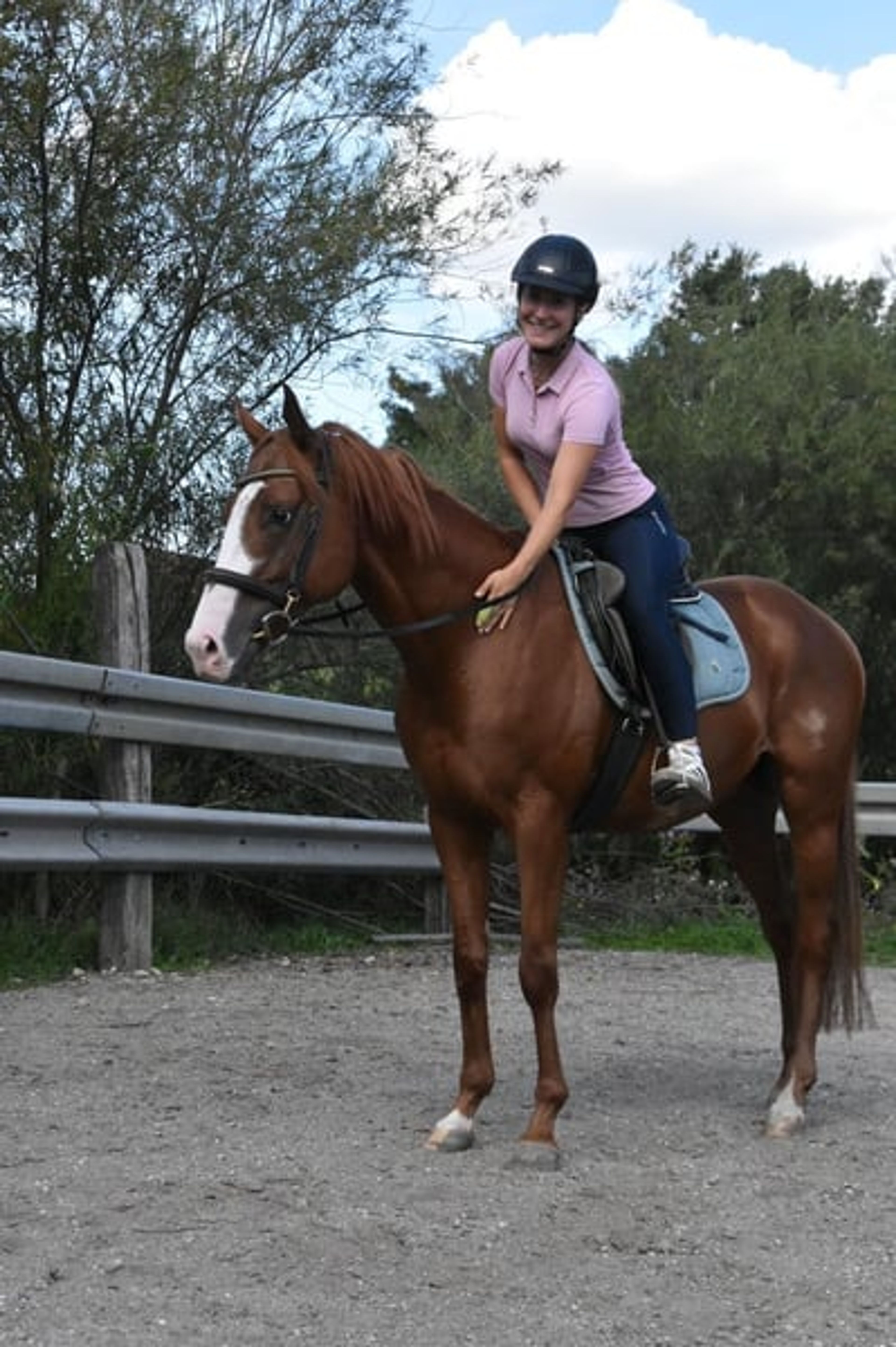 Leisure horse, endurance horse, gelding - Image 6