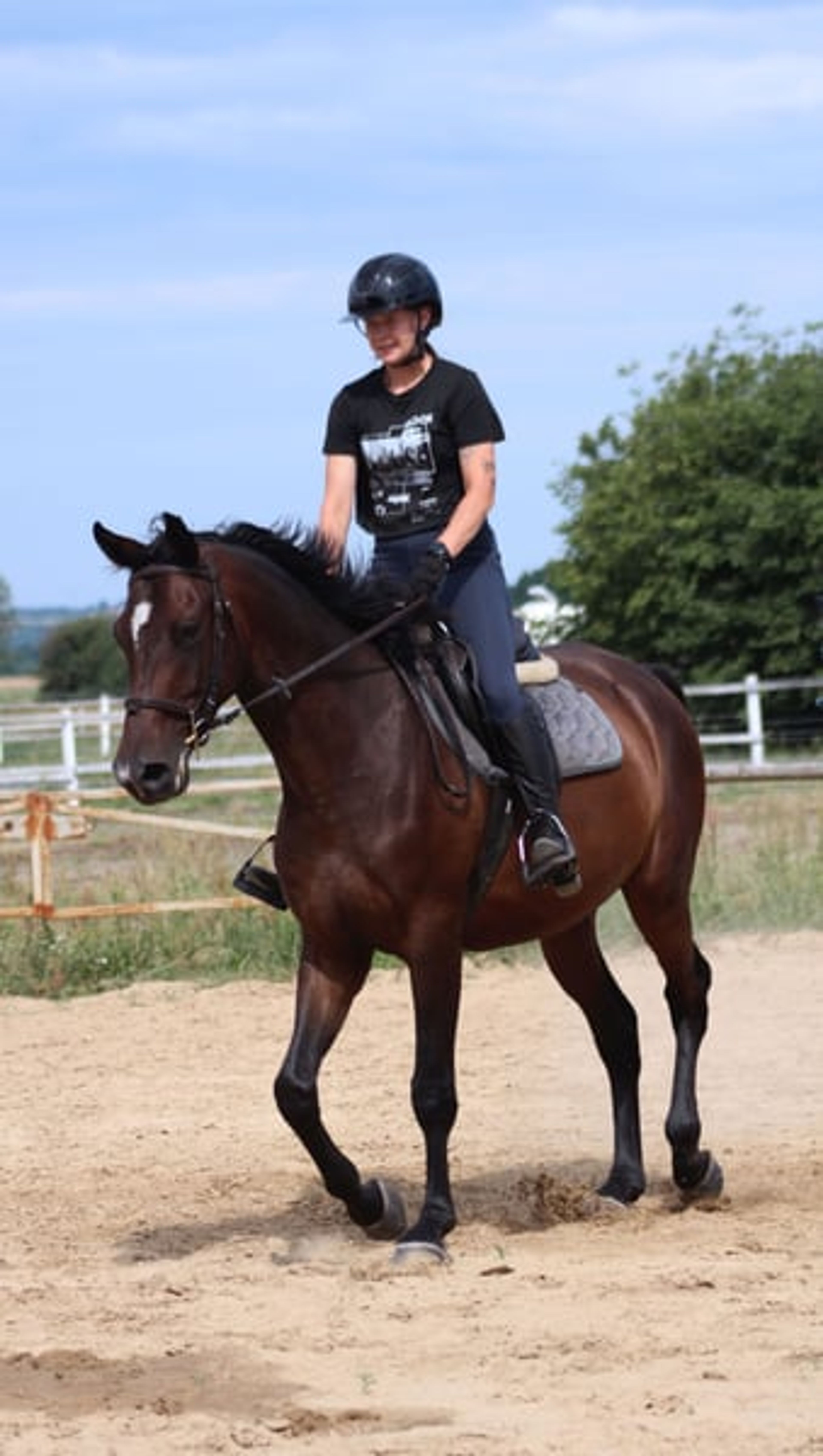 Beautiful chocolate-colored gelding with potential for endurance, trail riding, and dressage - Image 4