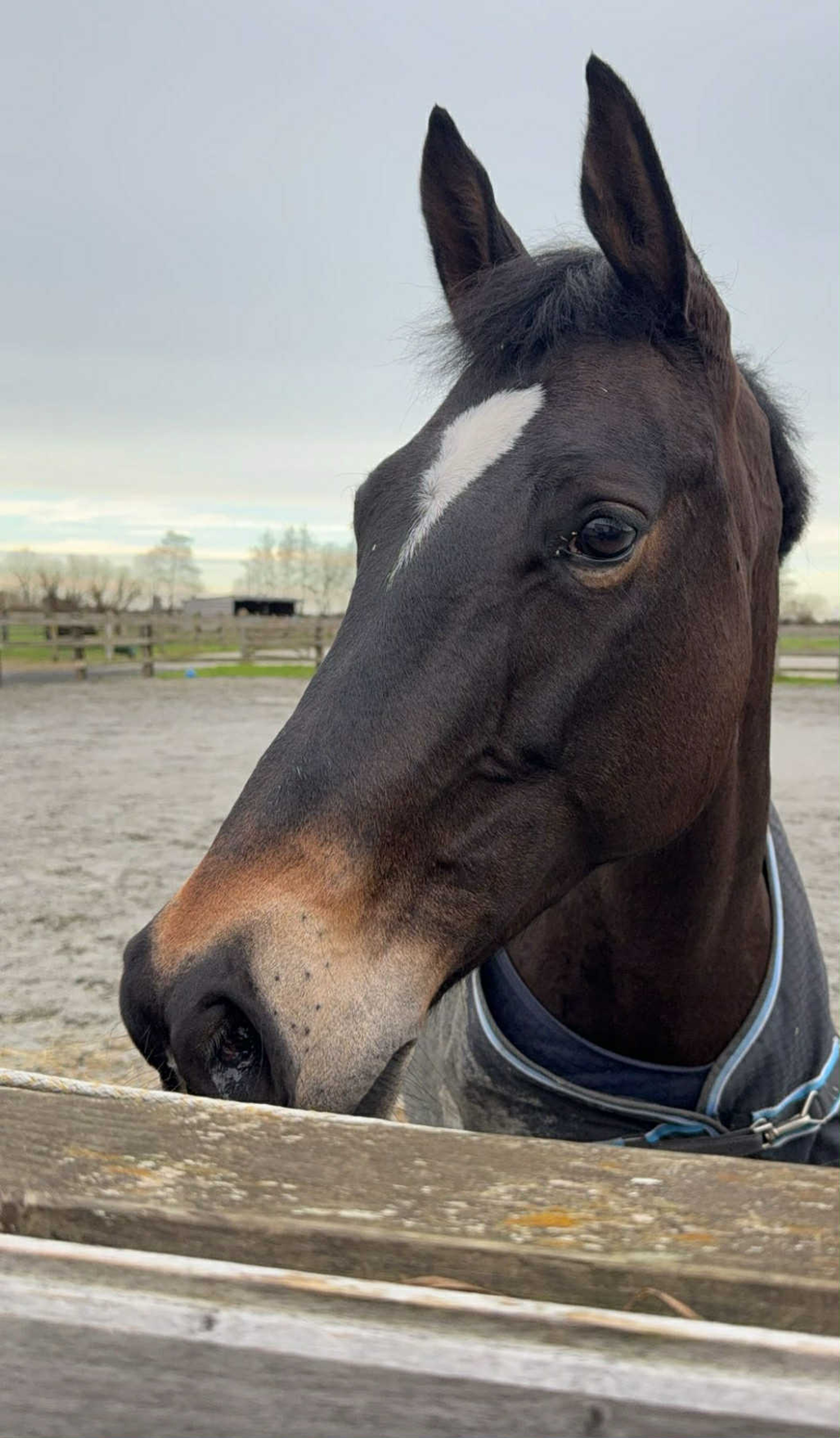 Million Tiny dreams - Image 1