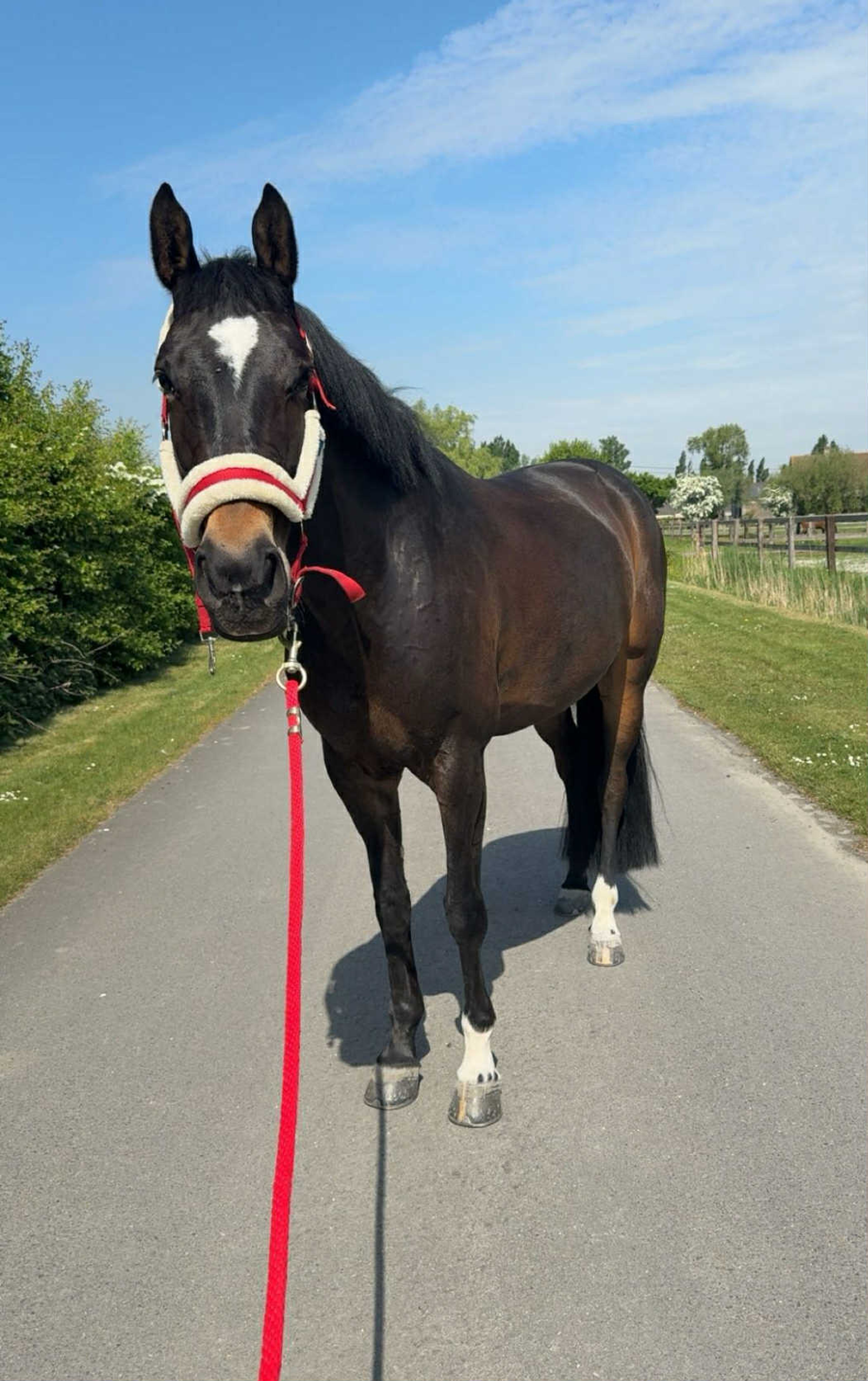 Million Tiny dreams - Image 2