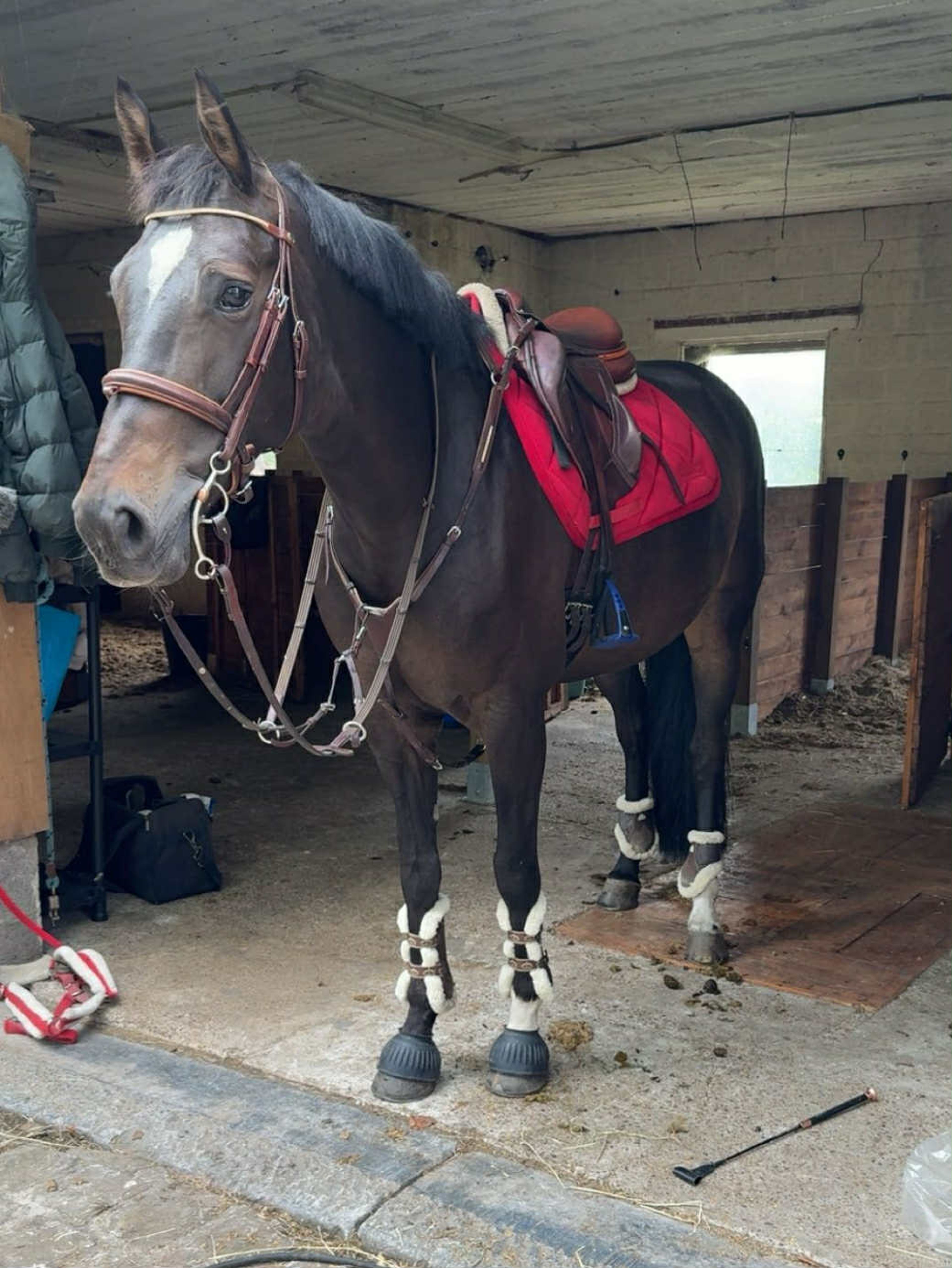 Million Tiny dreams - Image 3