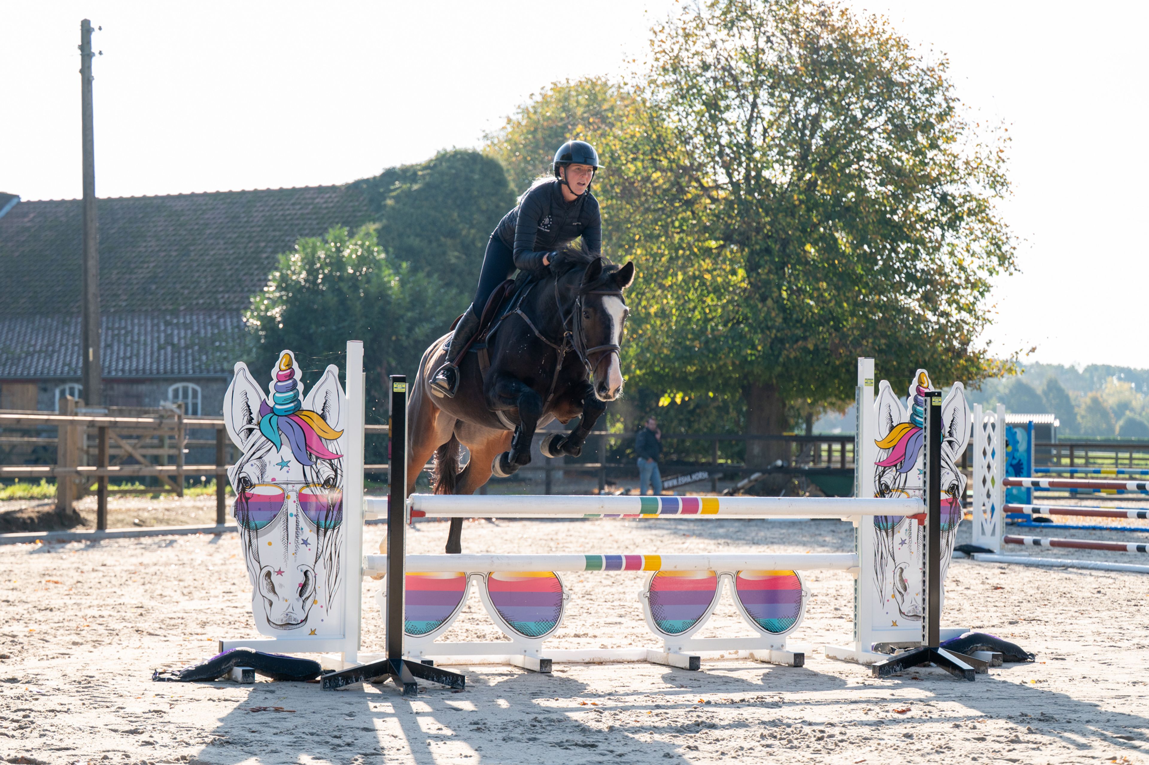 Pilniria Z ☆ (PILGRIM x BURGRAAF) - Image 2