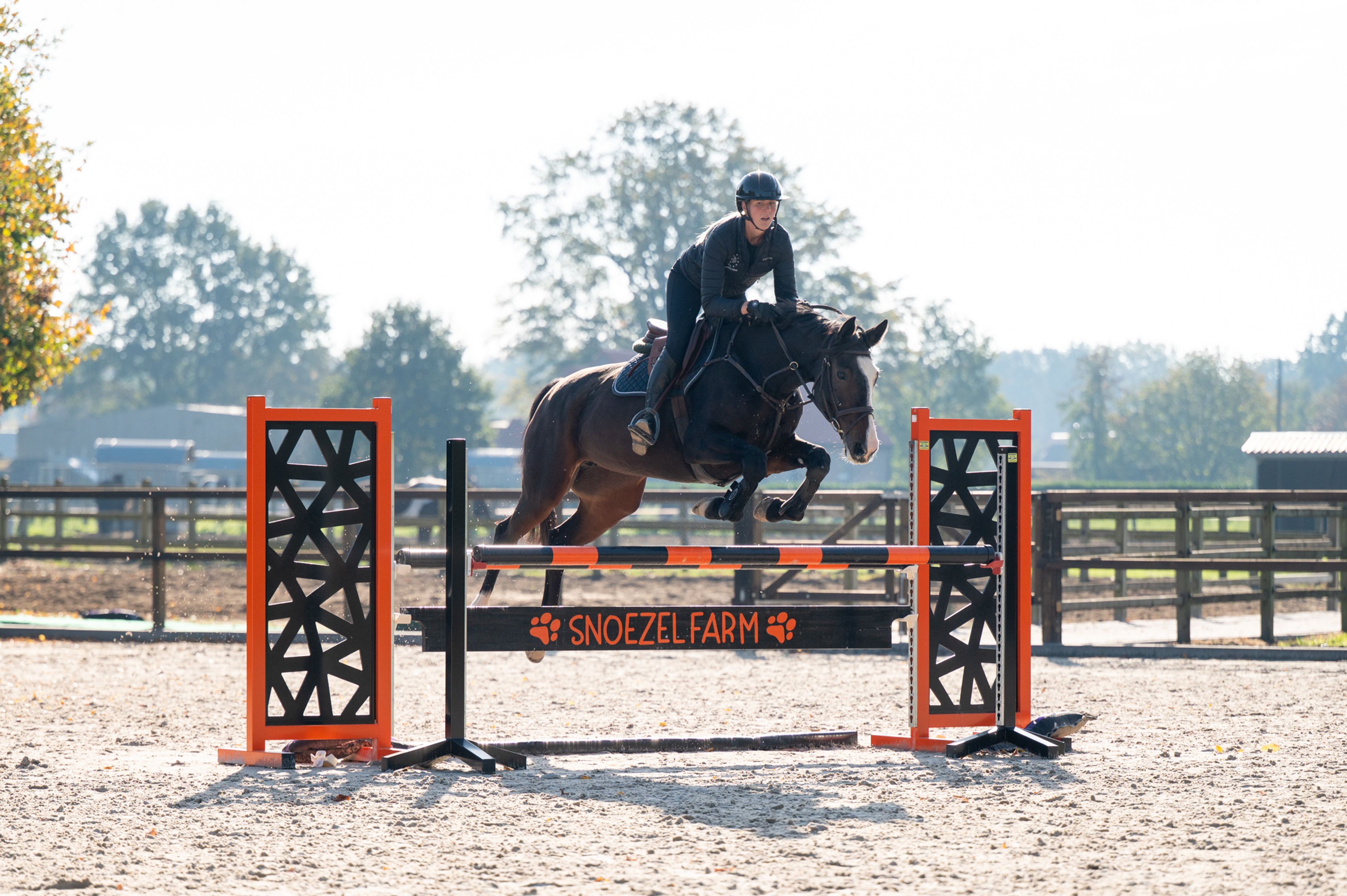 Pilniria Z ☆ (PILGRIM x BURGRAAF) - Image 5