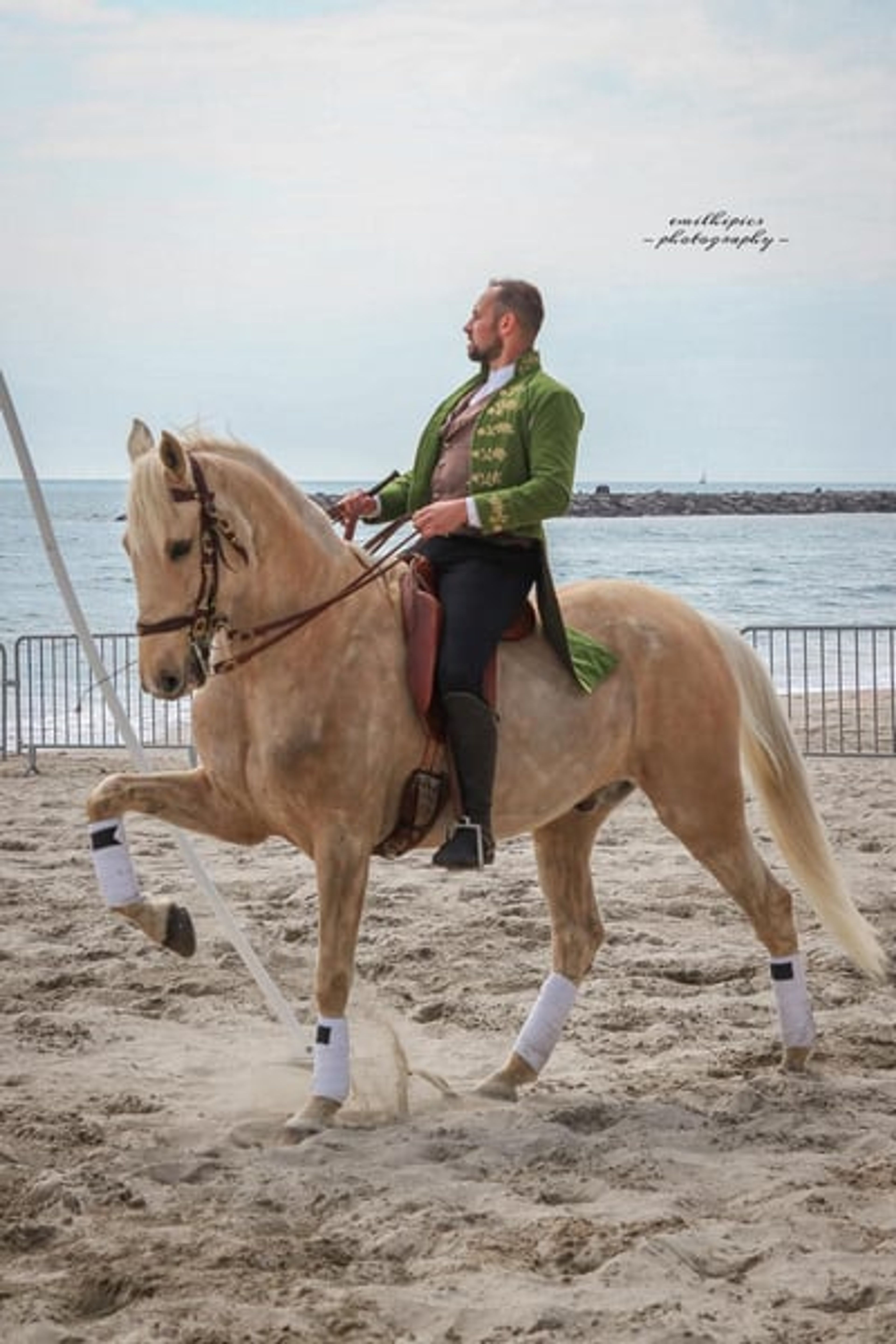Amazing horse – a true GEM for show jumping, eventing, dressage, and more - Image 1