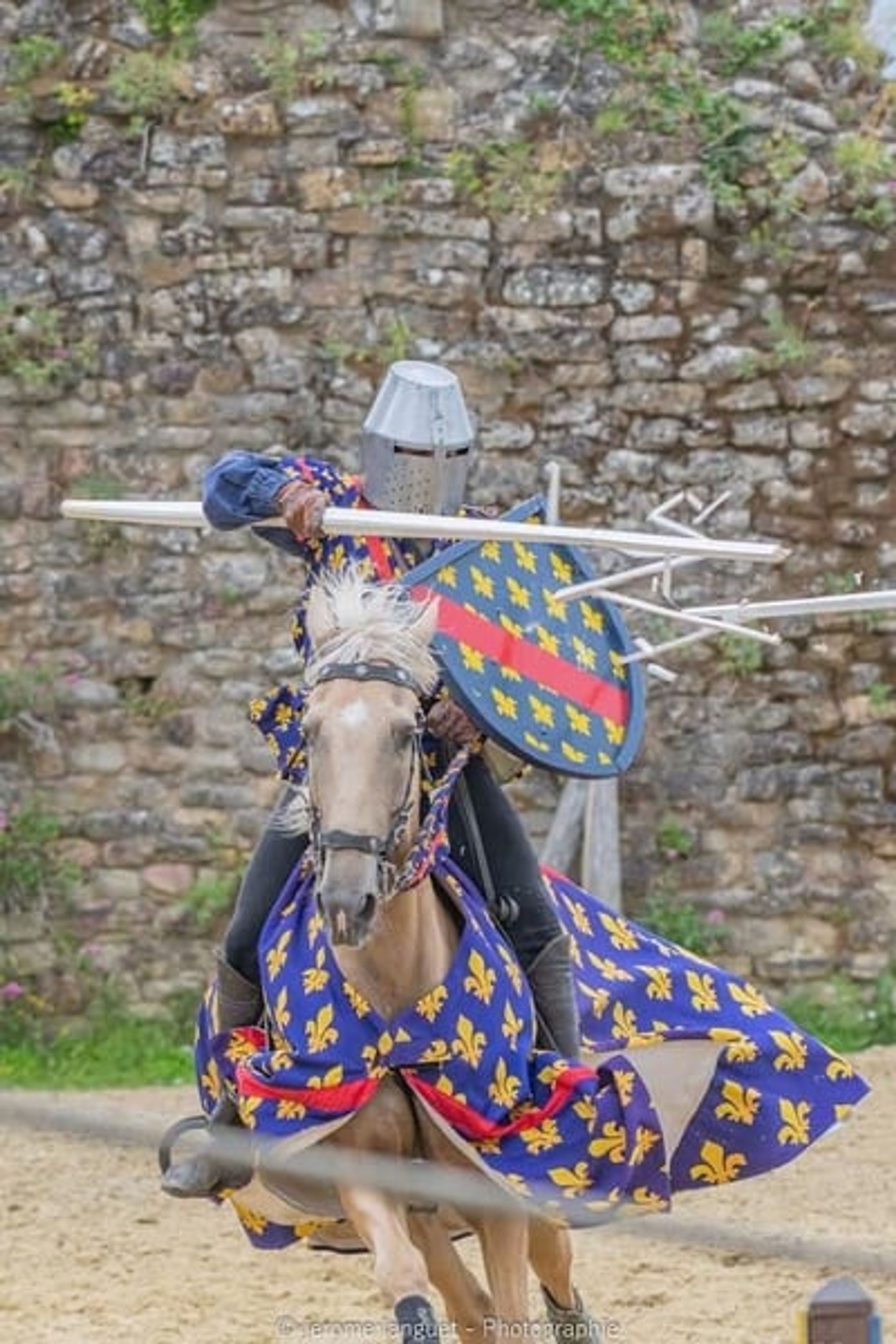 Amazing horse – a true GEM for show jumping, eventing, dressage, and more - Image 2