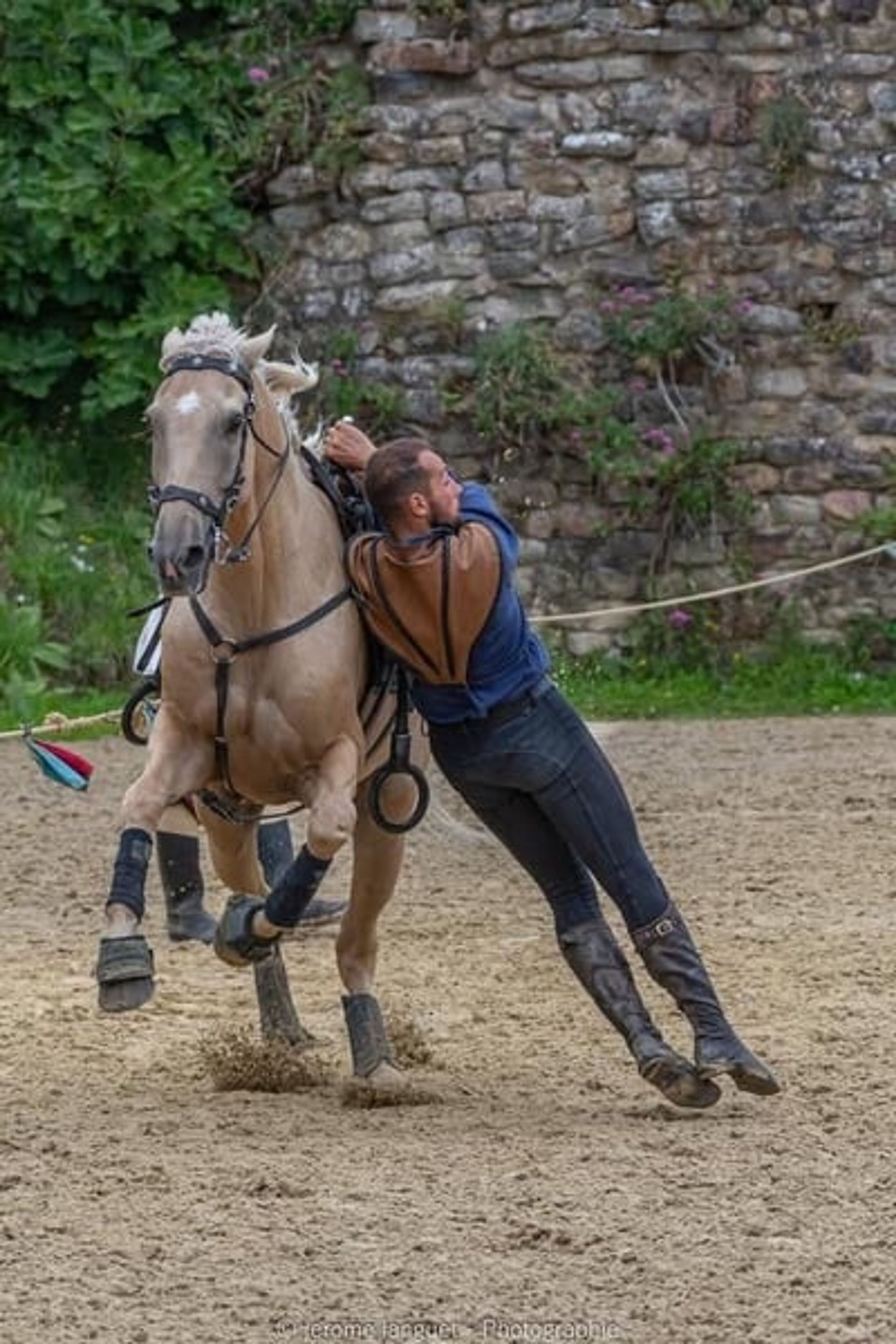 Amazing horse – a true GEM for show jumping, eventing, dressage, and more - Image 3