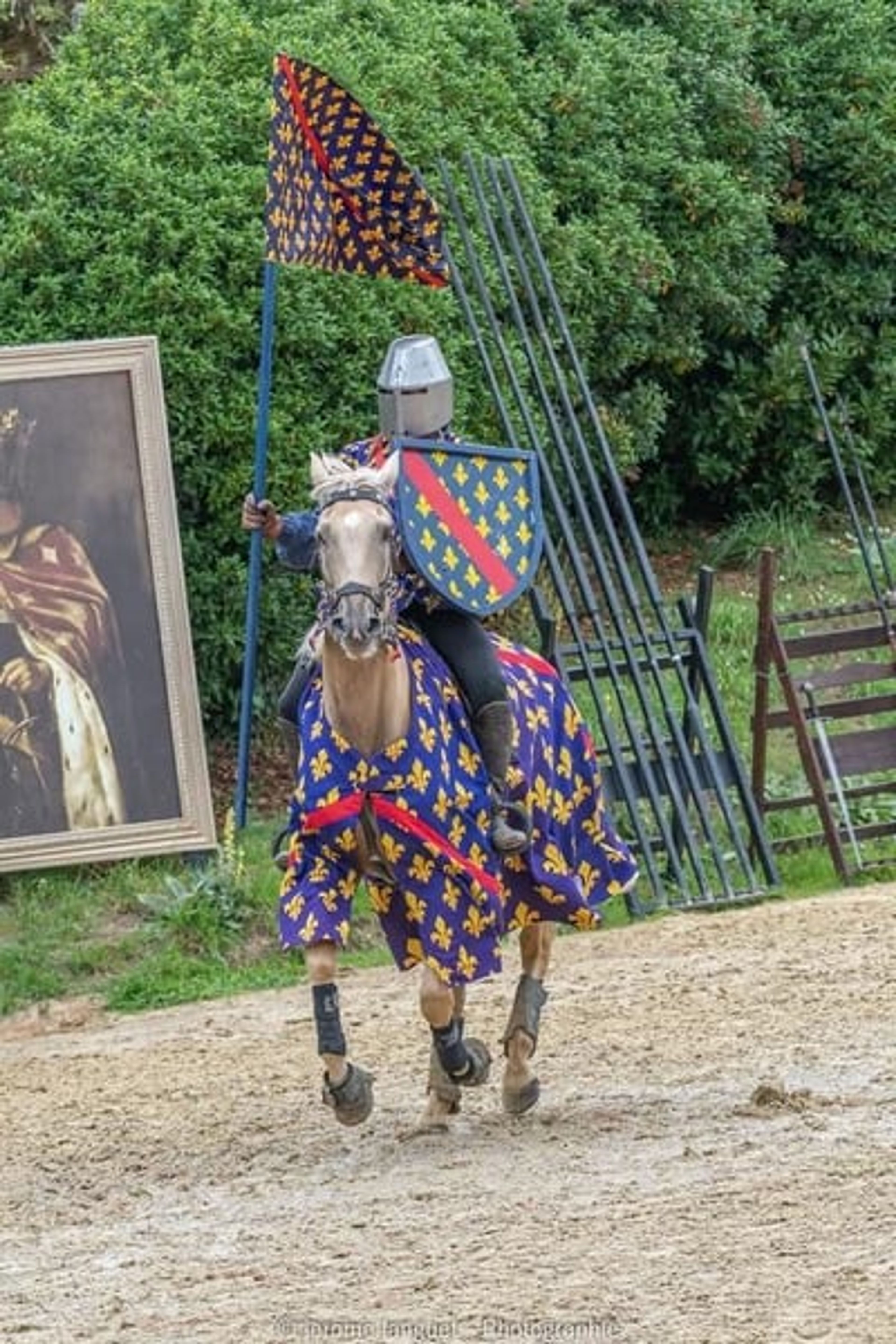 Amazing horse – a true GEM for show jumping, eventing, dressage, and more - Image 4