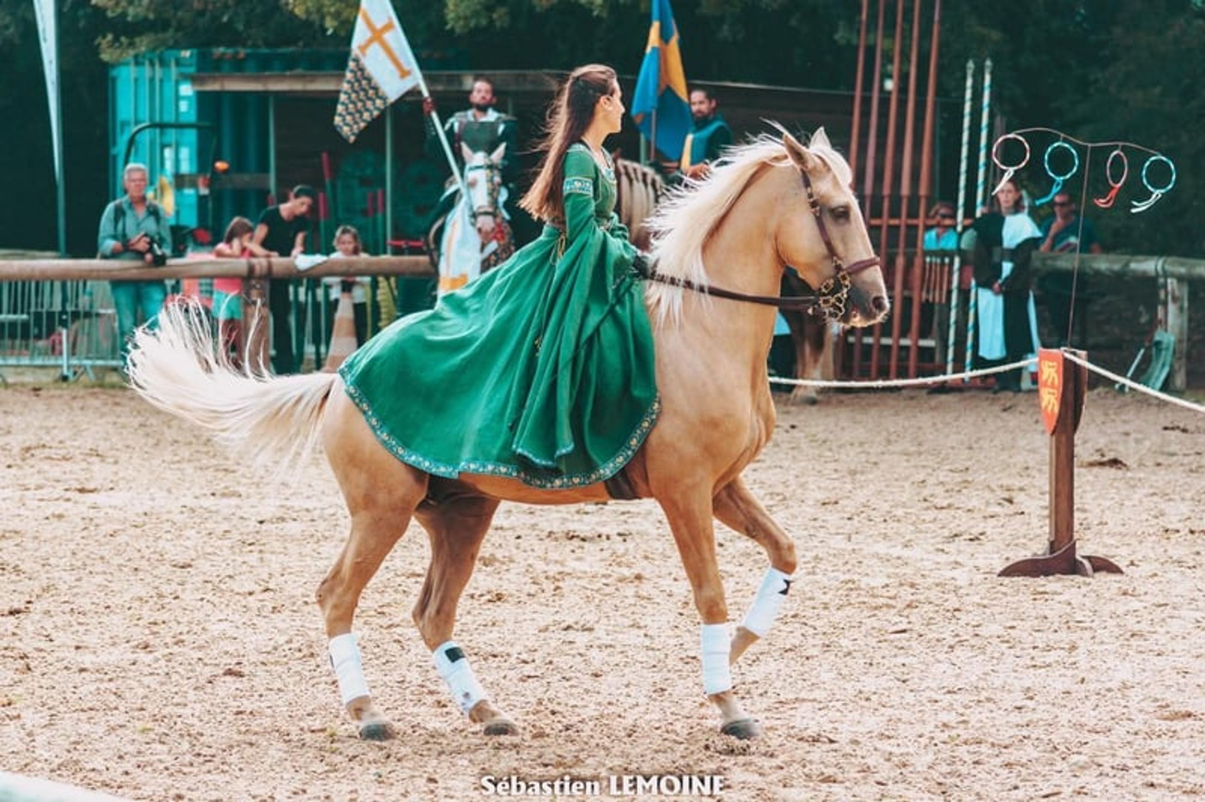Amazing horse – a true GEM for show jumping, eventing, dressage, and more - Image 6