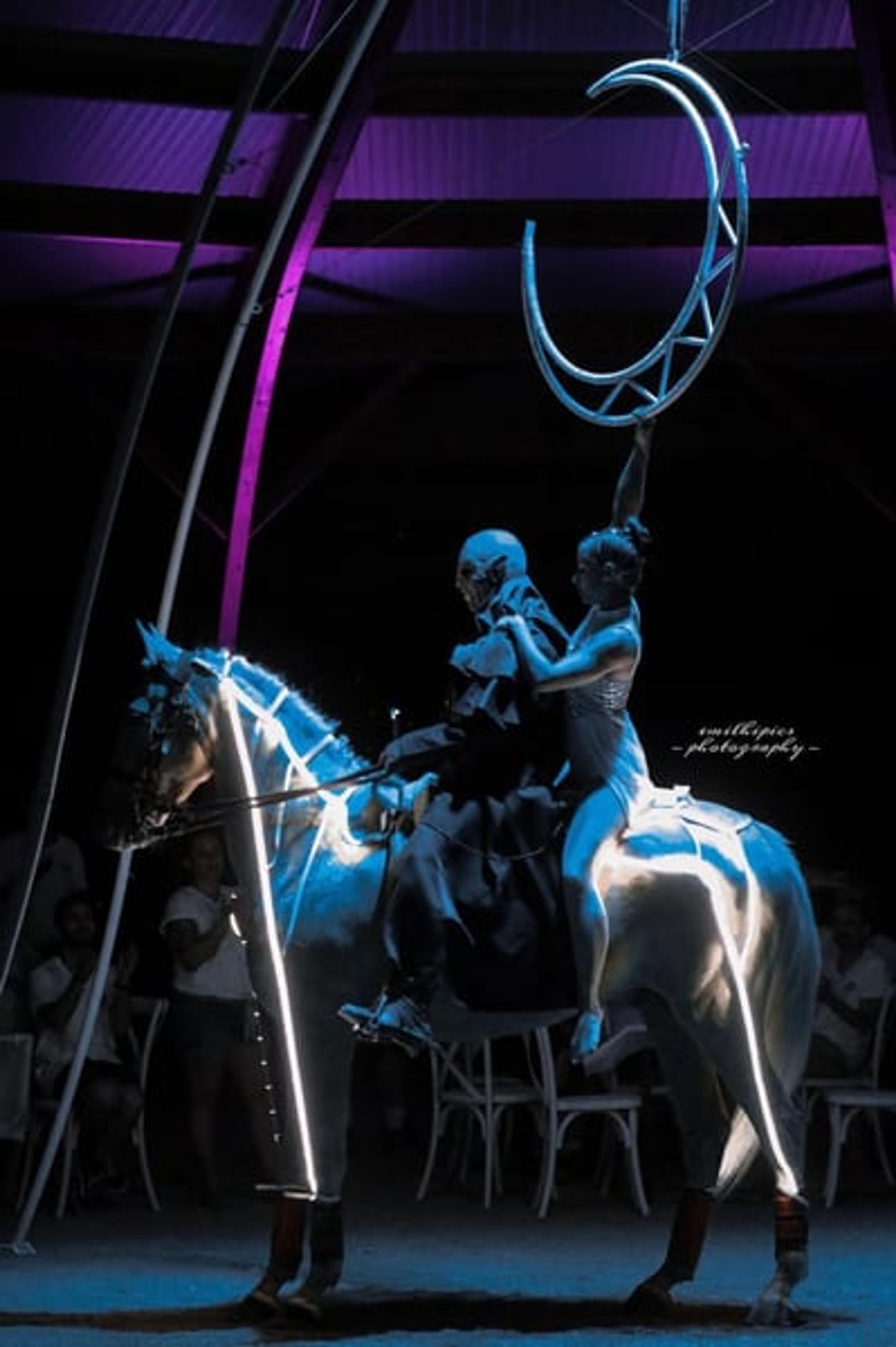 Amazing horse – a true GEM for show jumping, eventing, dressage, and more - Image 9