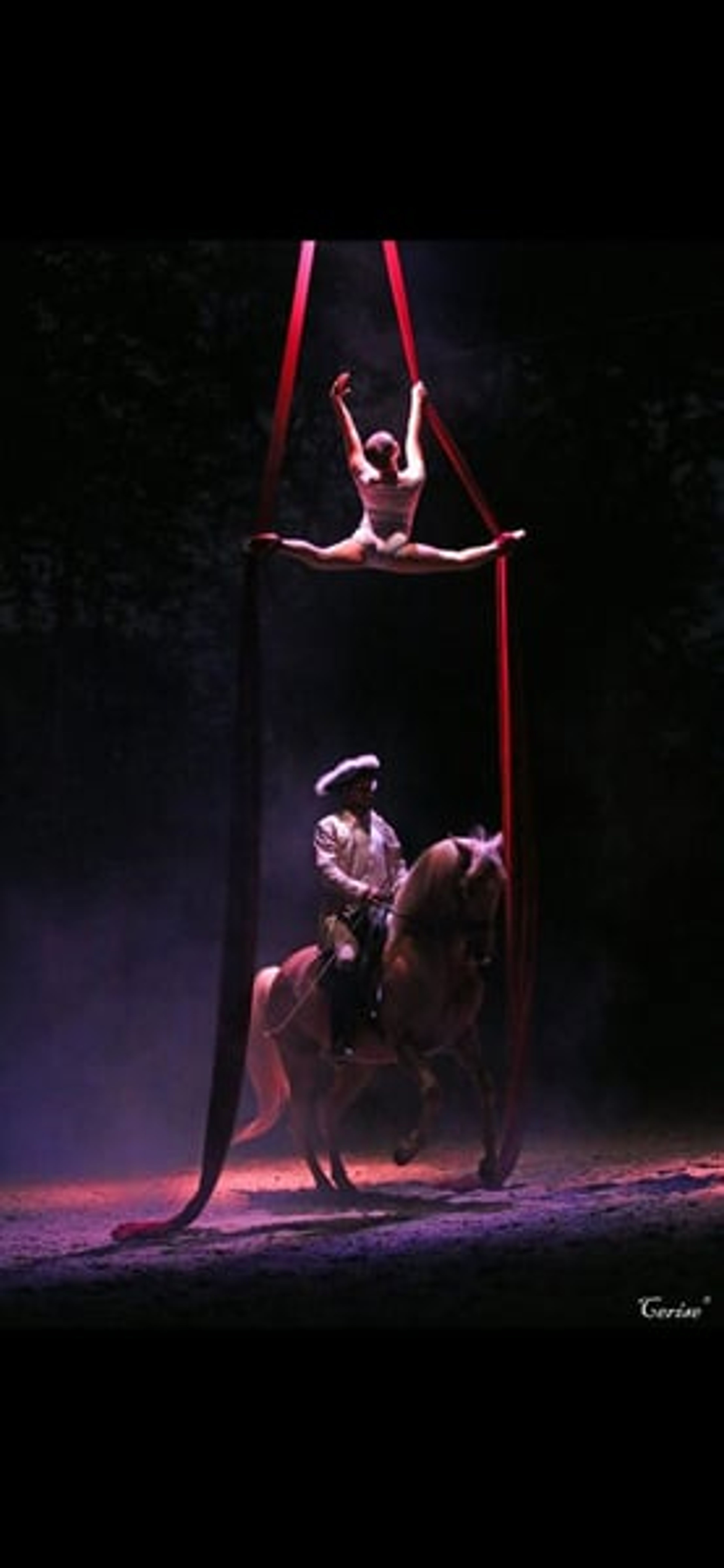 Amazing horse – a true GEM for show jumping, eventing, dressage, and more - Image 10