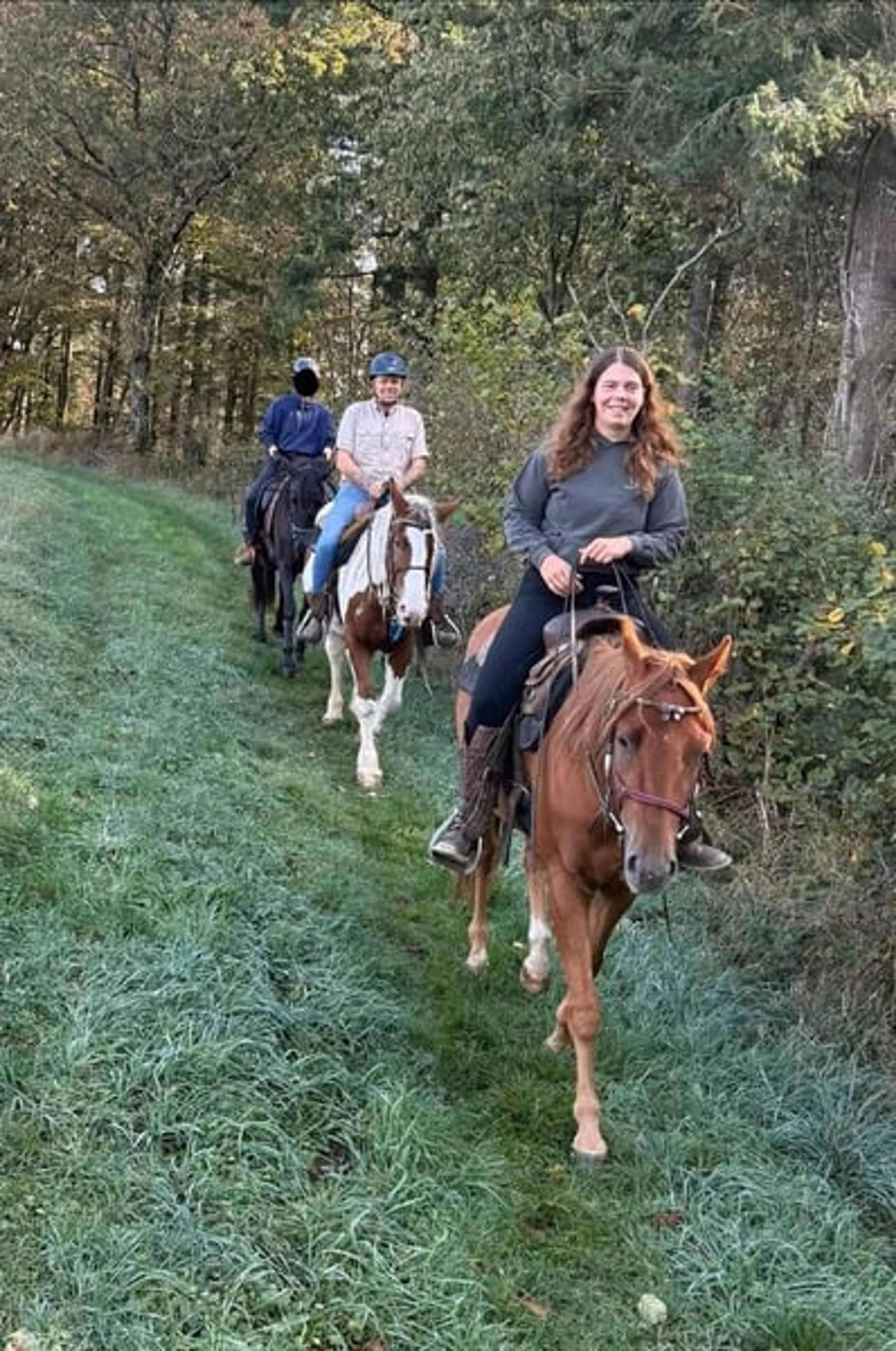 Excellent reliable leisure horse – a relaxed, versatile gelding - Image 4