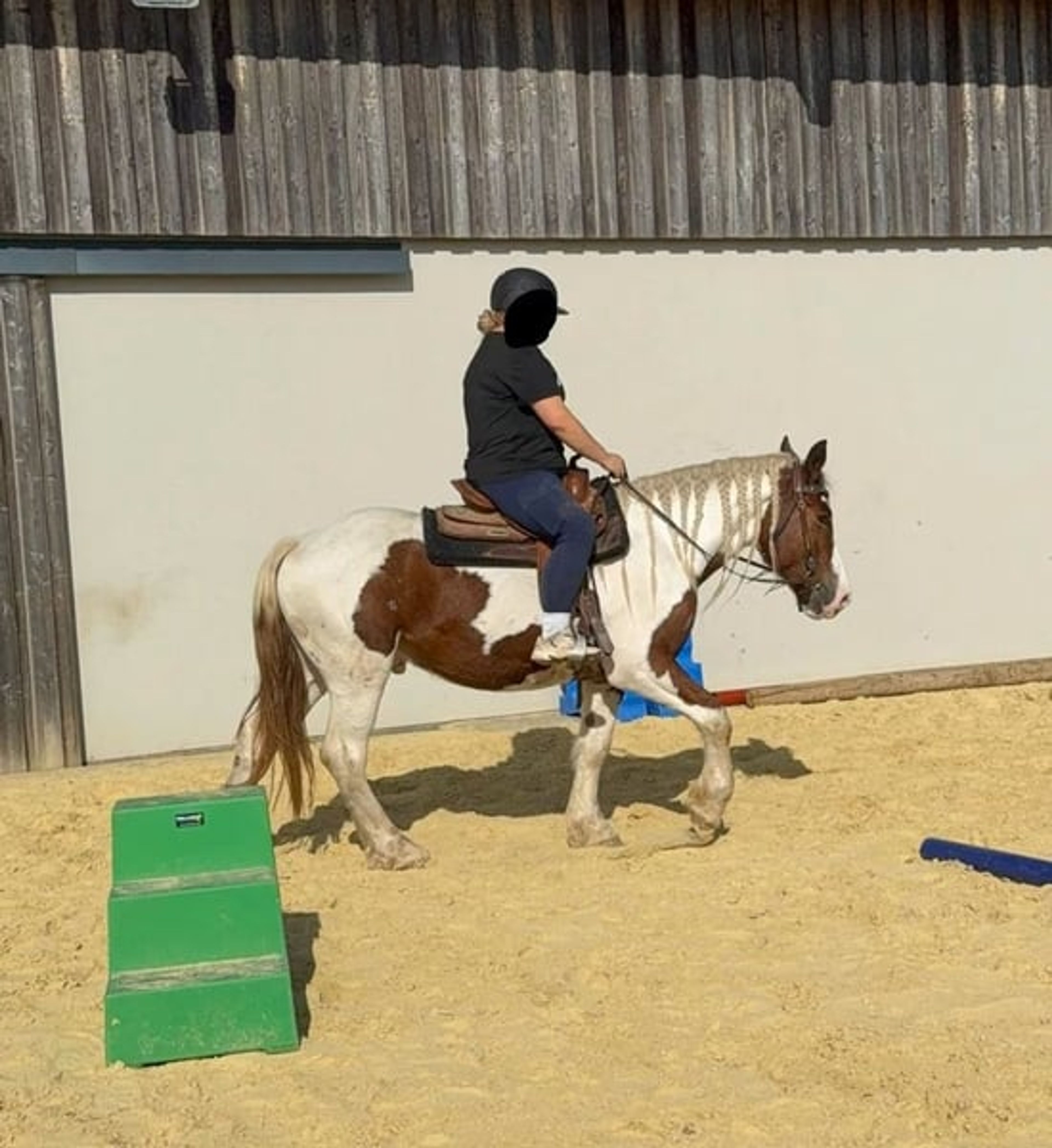 Excellent reliable leisure horse – a relaxed, versatile gelding - Image 6