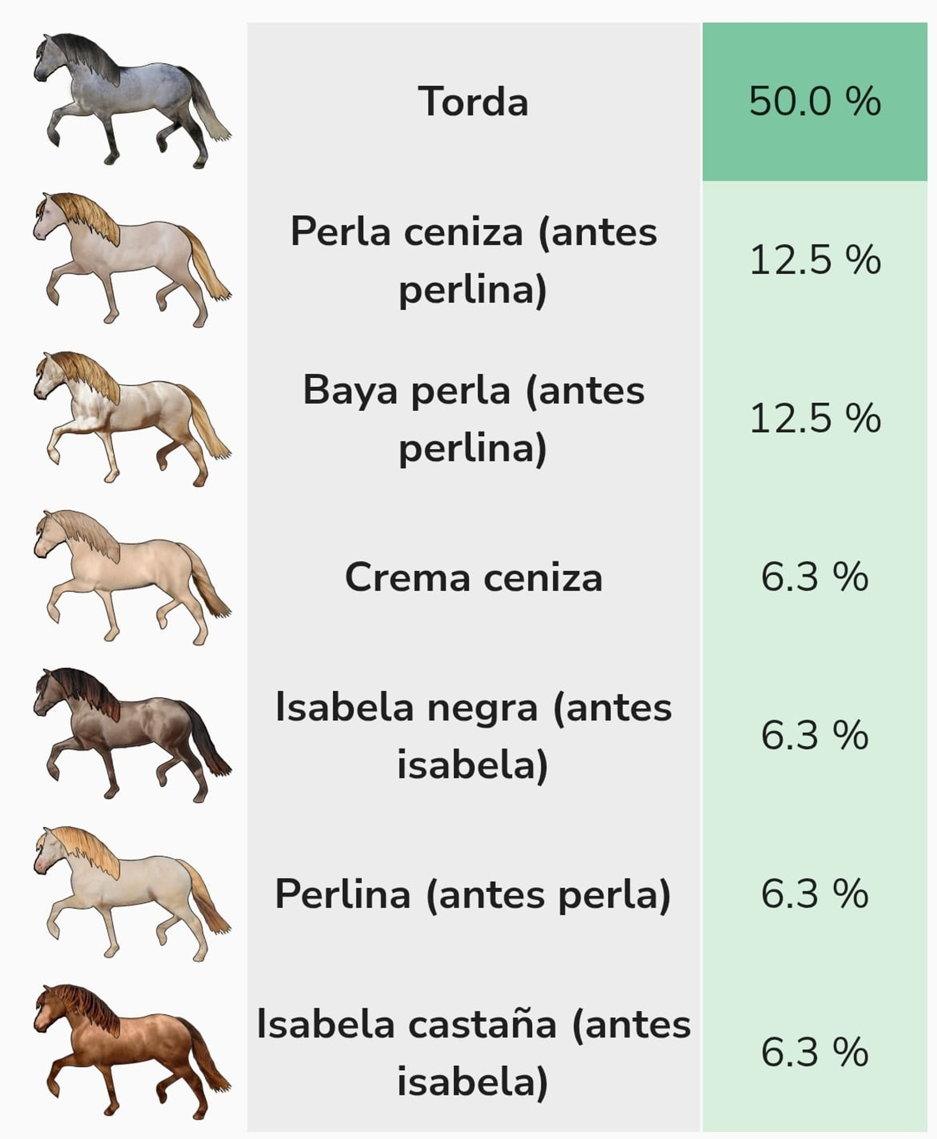 ITALICA IB - Image 4
