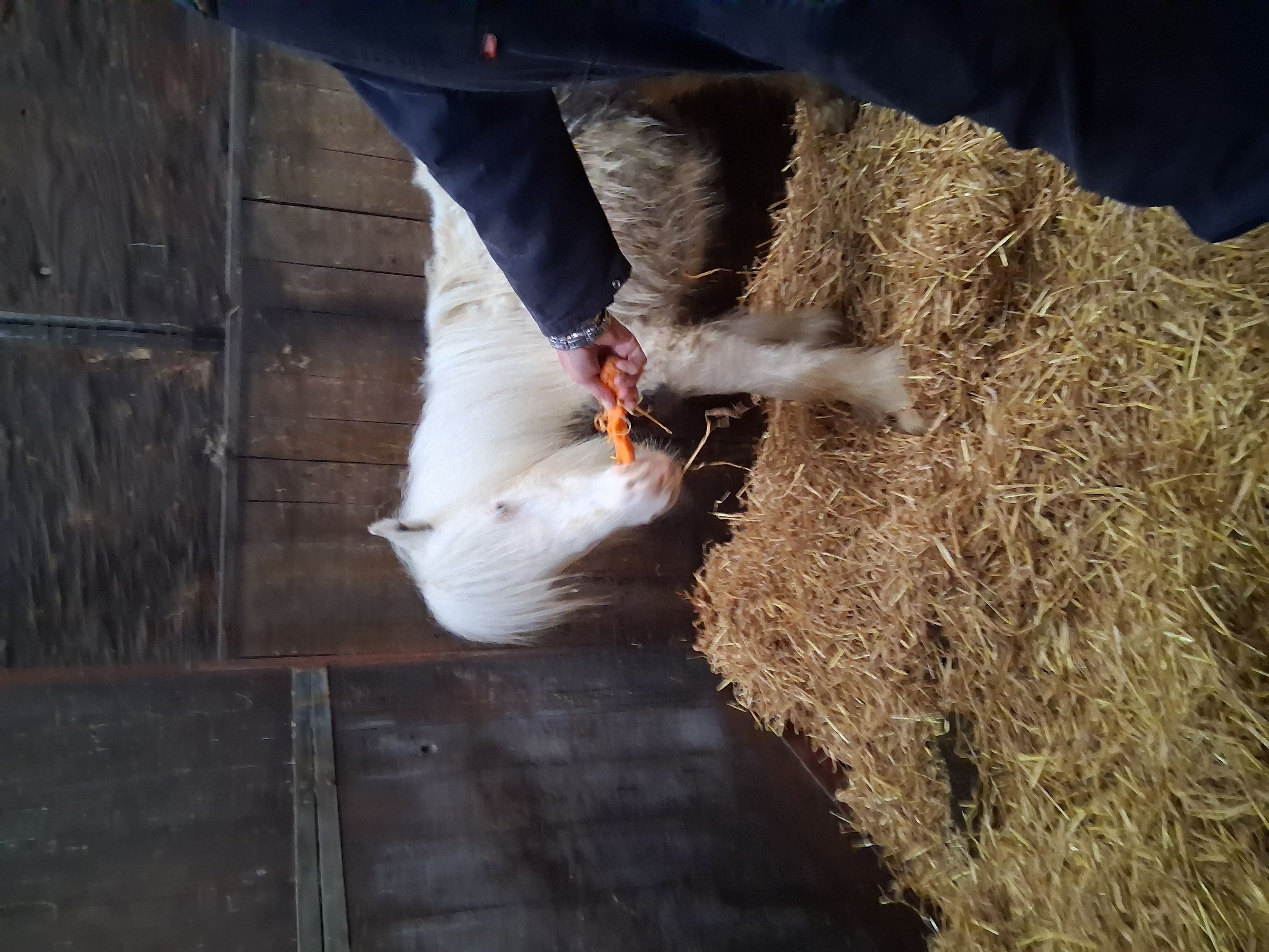 Winky(Seb) - Image 1