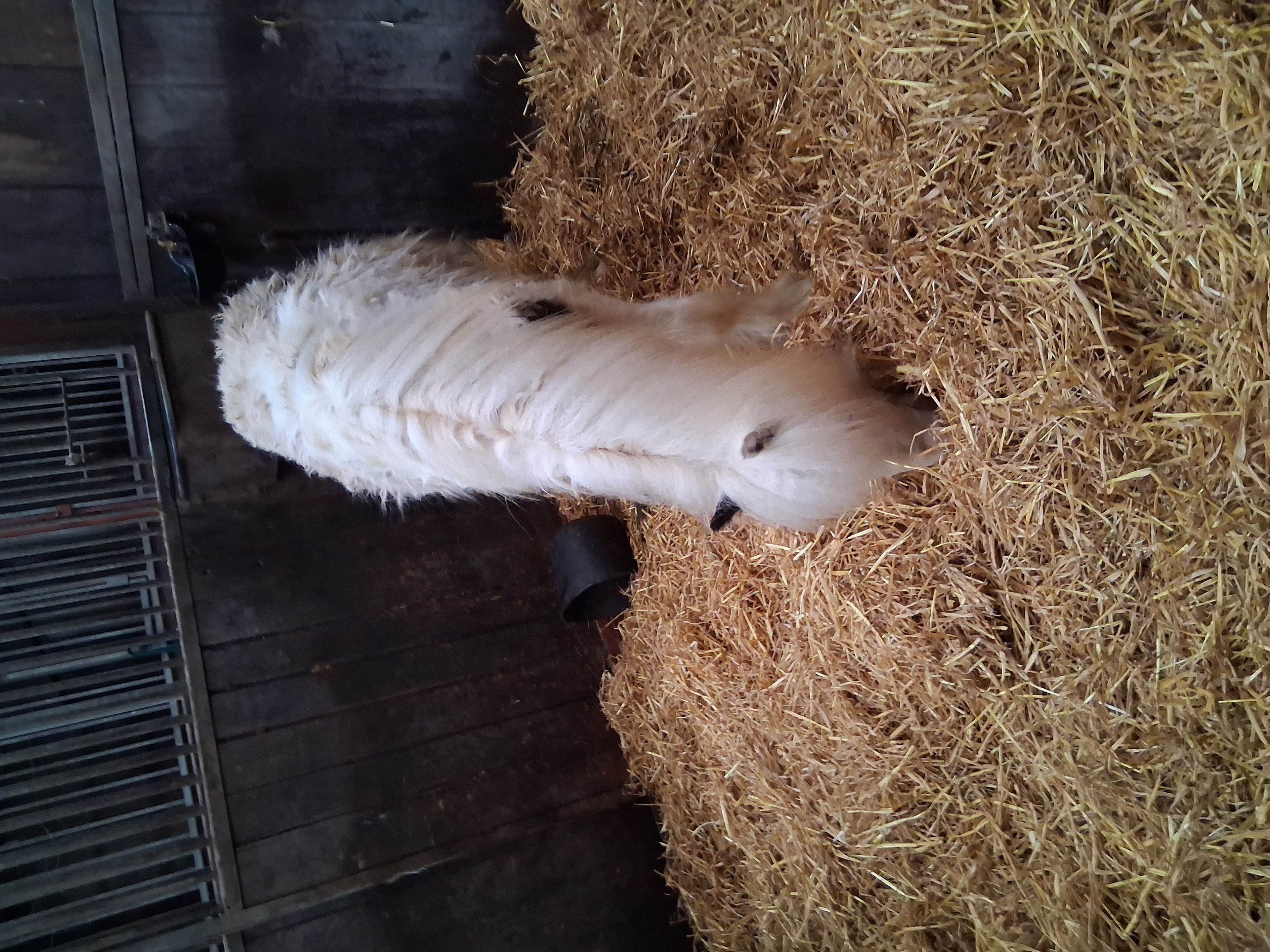 Winky(Seb) - Image 2