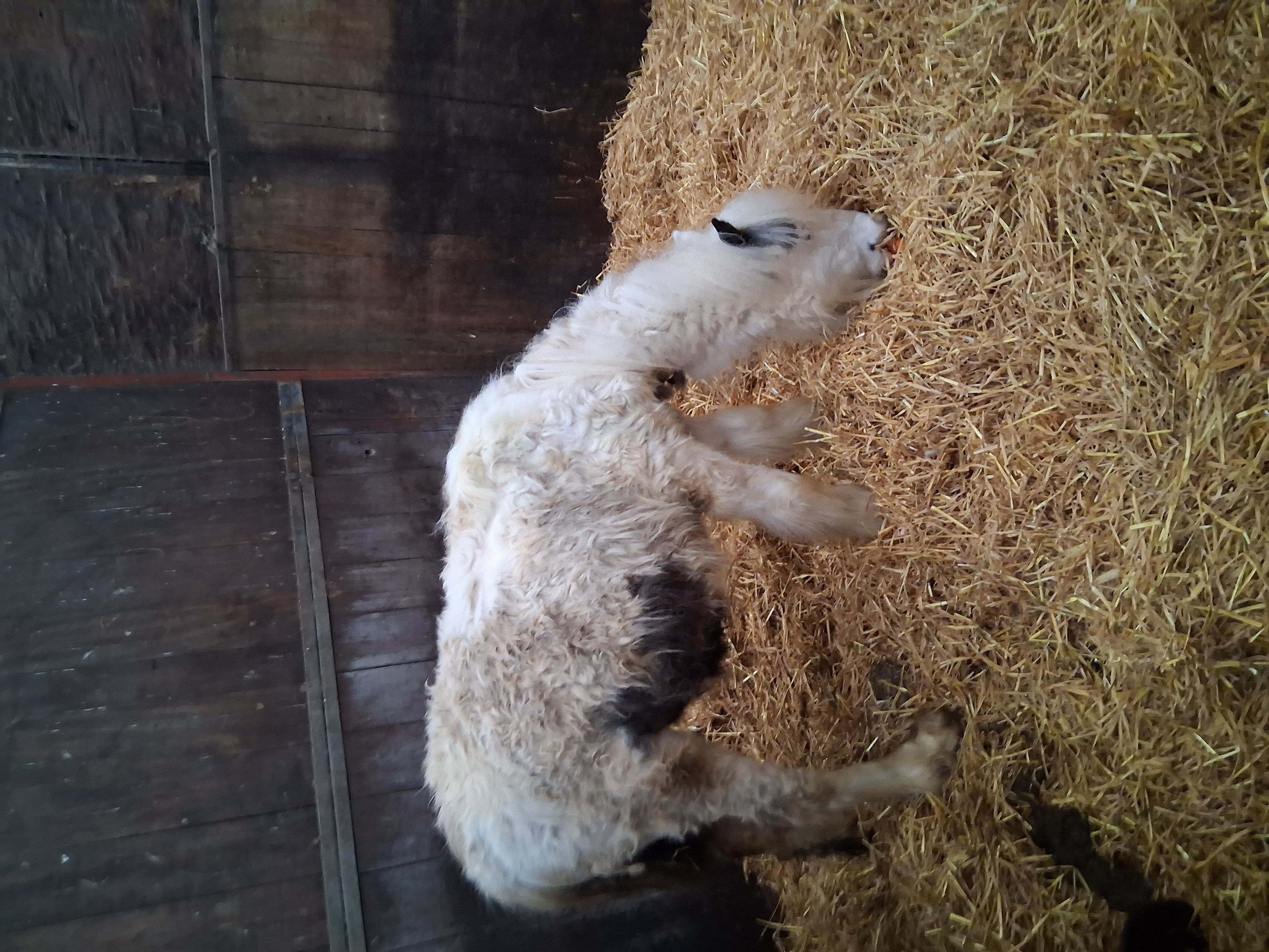 Winky(Seb) - Image 3