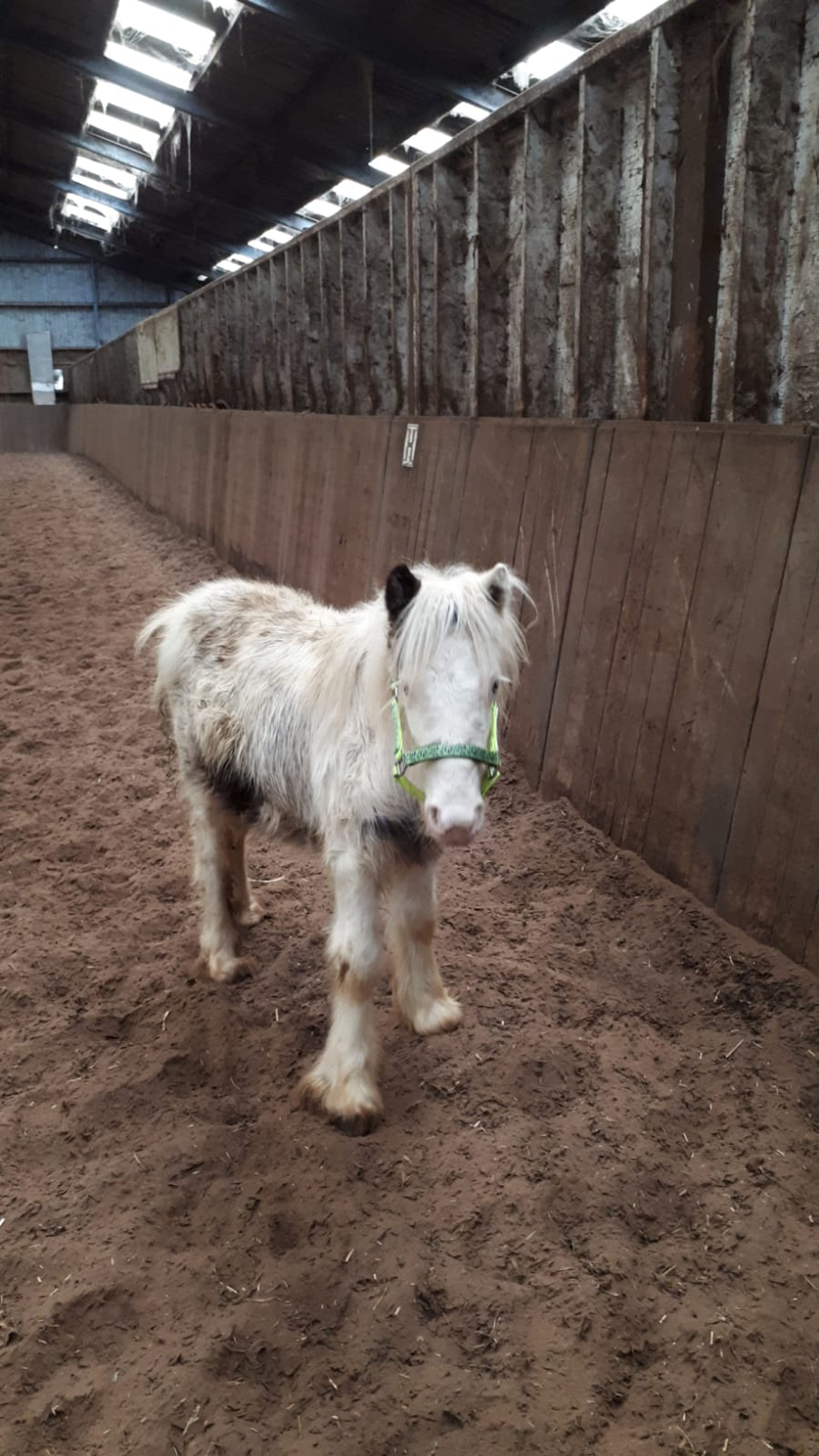 Winky(Seb) - Image 4