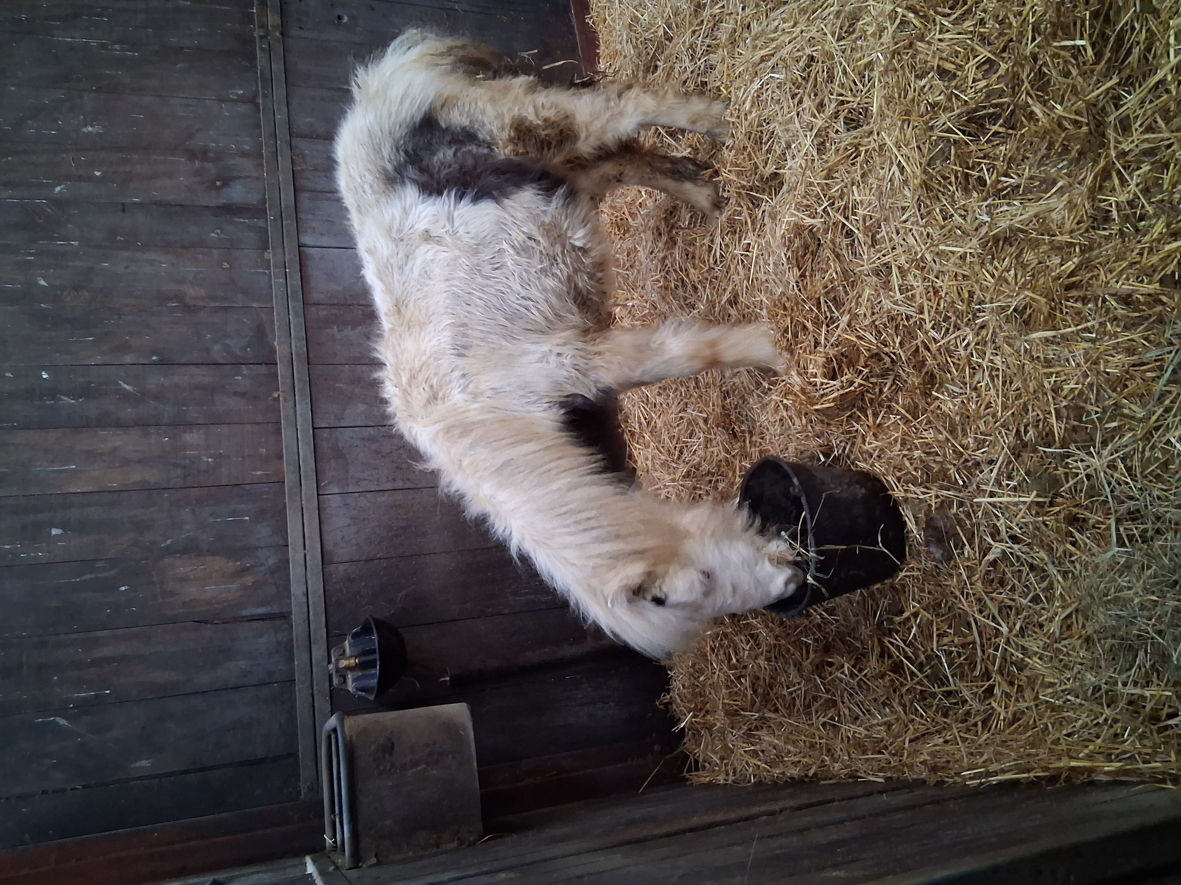 Winky(Seb) - Image 5