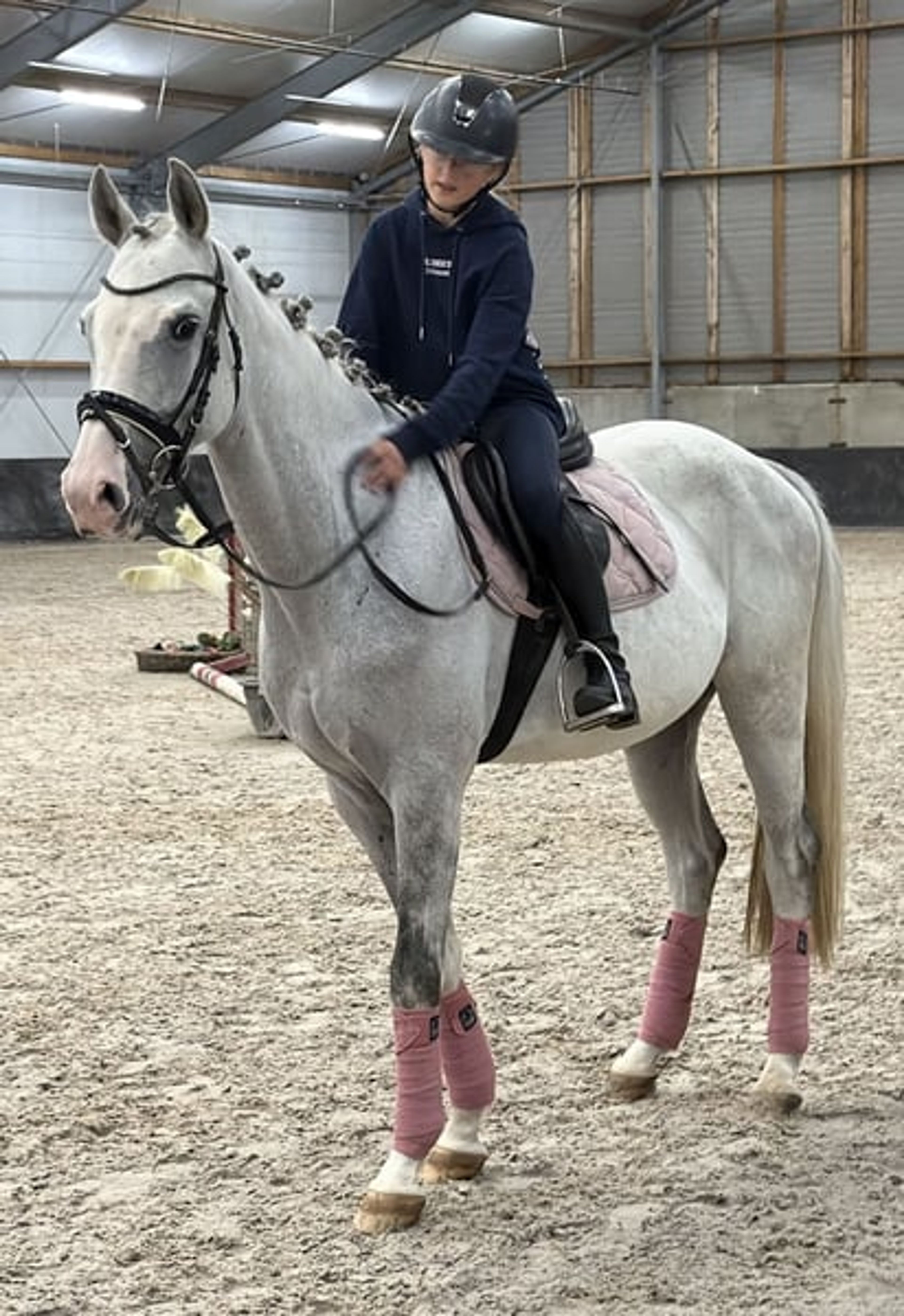 Family Horse and Show-Jumping Self-Starter – ALWAYS JUMPS 🐴 - Image 2