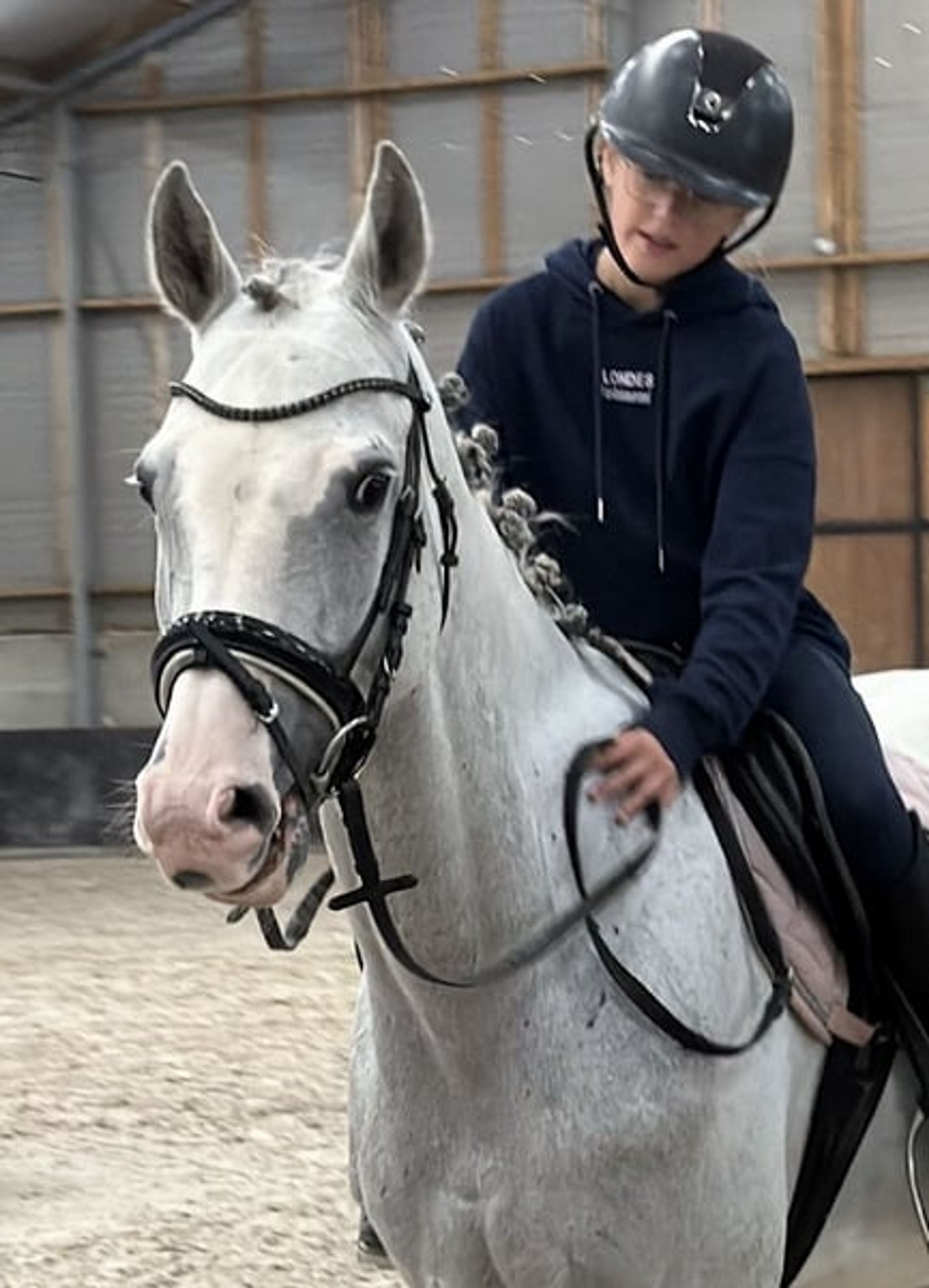 Family Horse and Show-Jumping Self-Starter – ALWAYS JUMPS 🐴 - Image 4