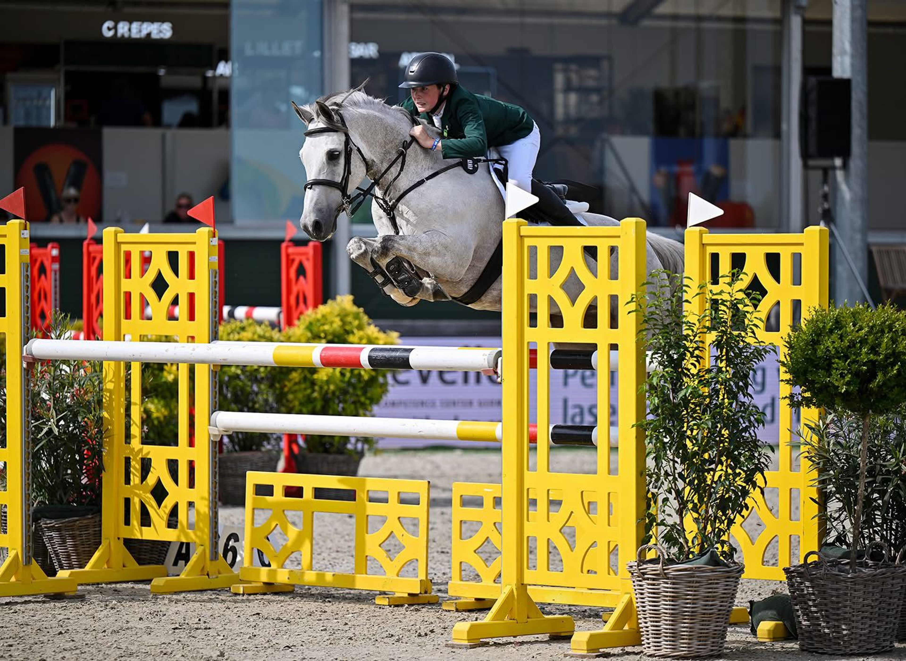 Western Ranger (MAXIMUM JO x -) - Image 1